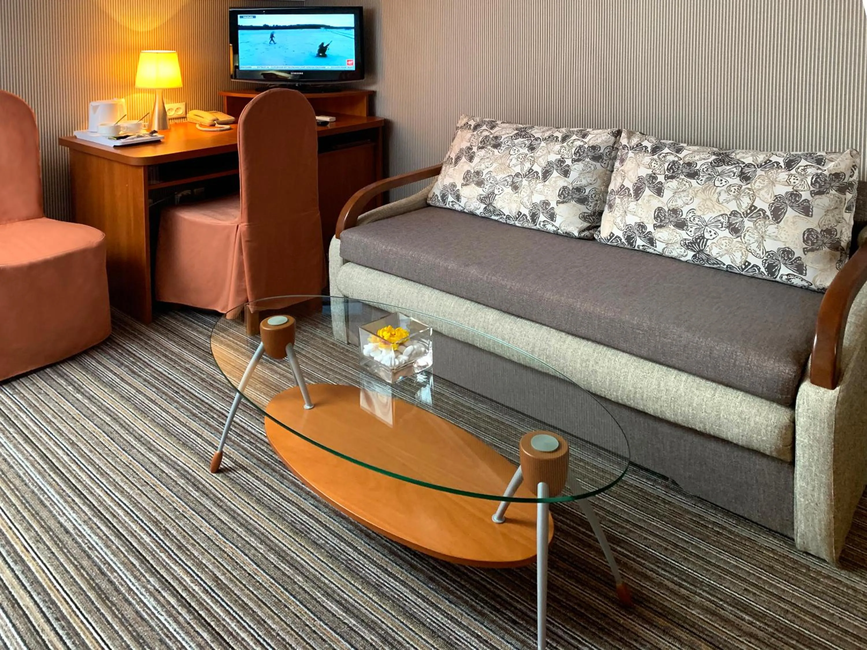 TV and multimedia in Economy room in Hotel Eney