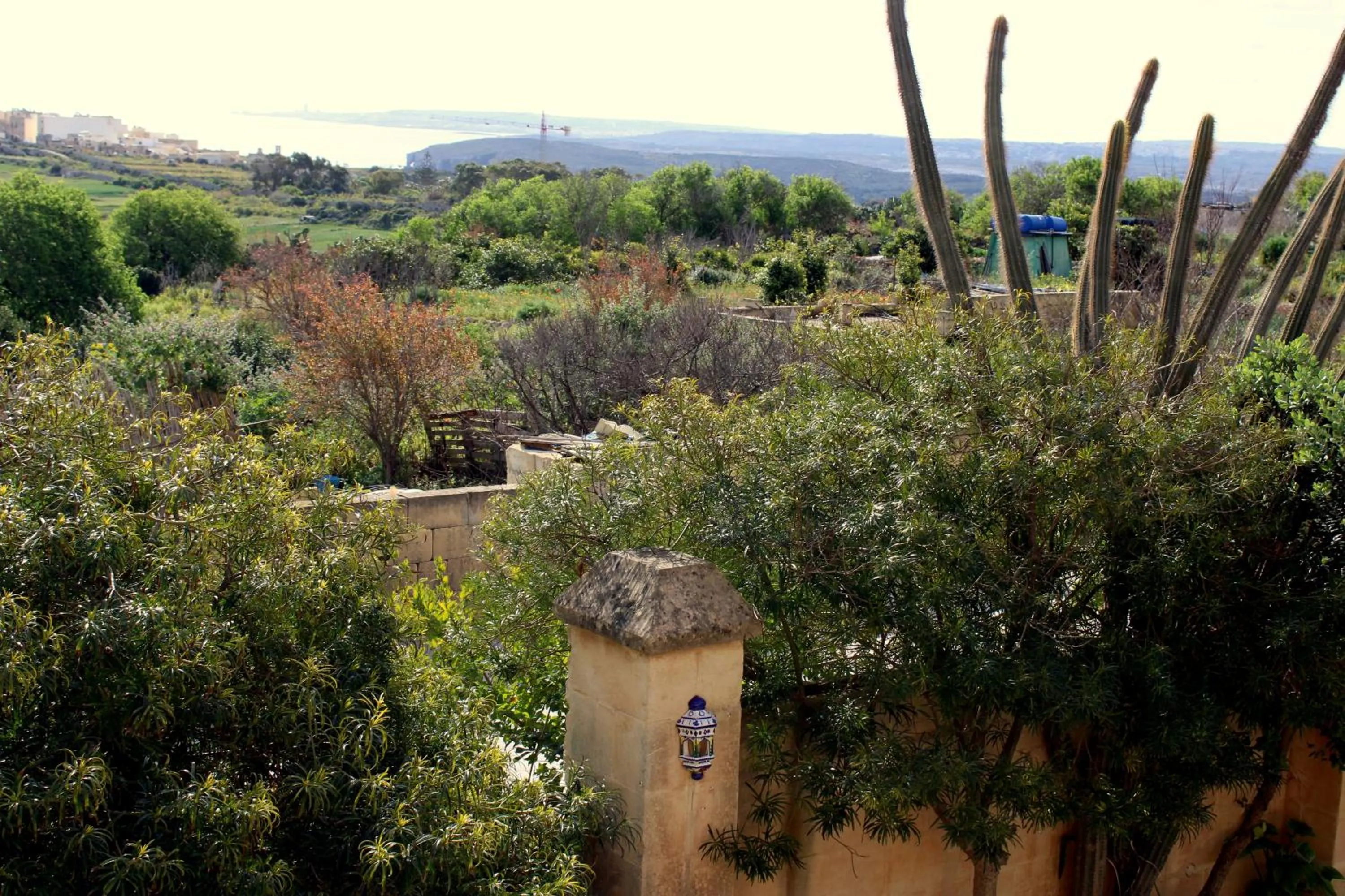 View (from property/room) in Il-Wileġ Bed & Breakfast