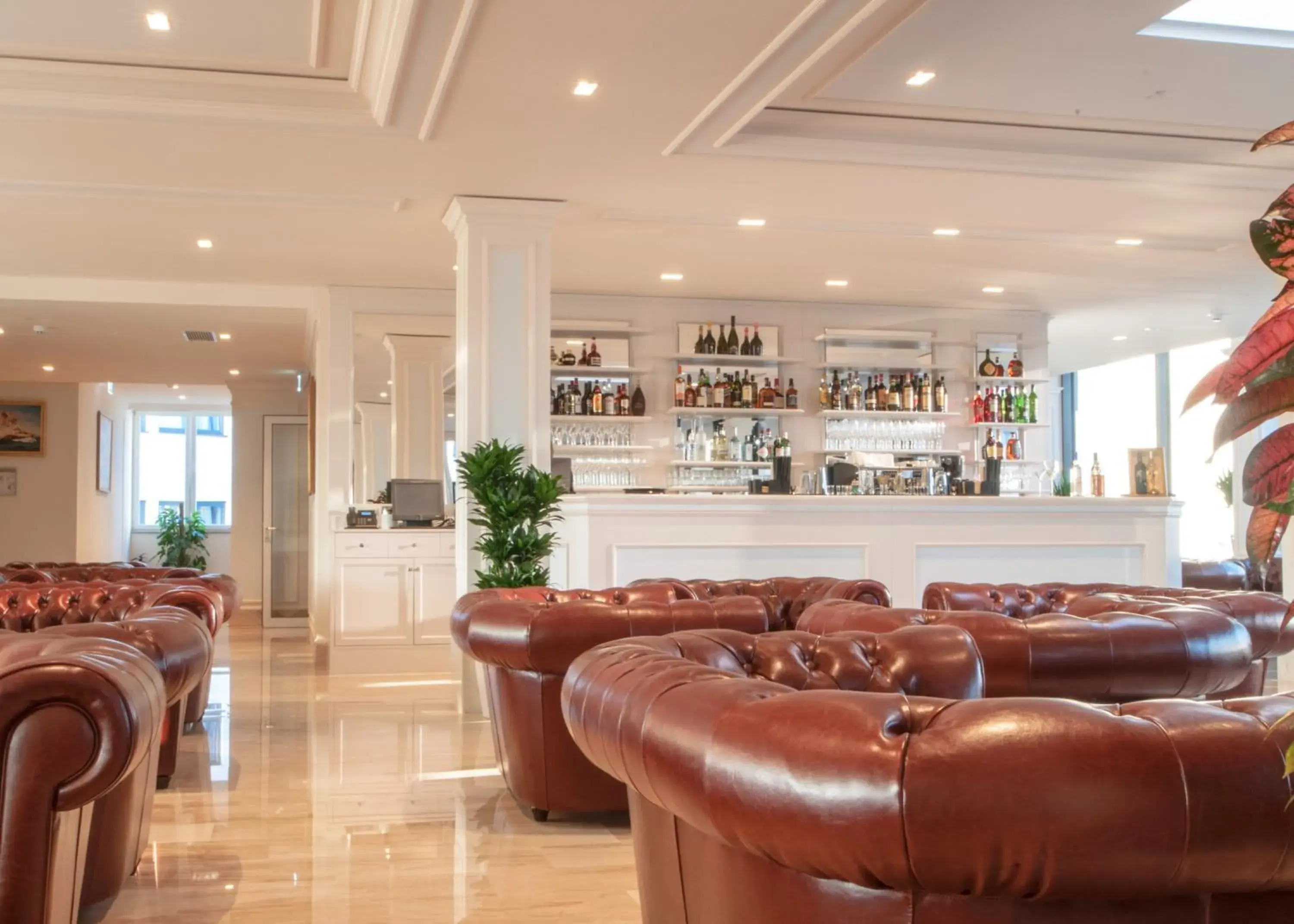 Lounge or bar in Grand Hotel Palladium Lounge or bar in Grand Hotel Palladium