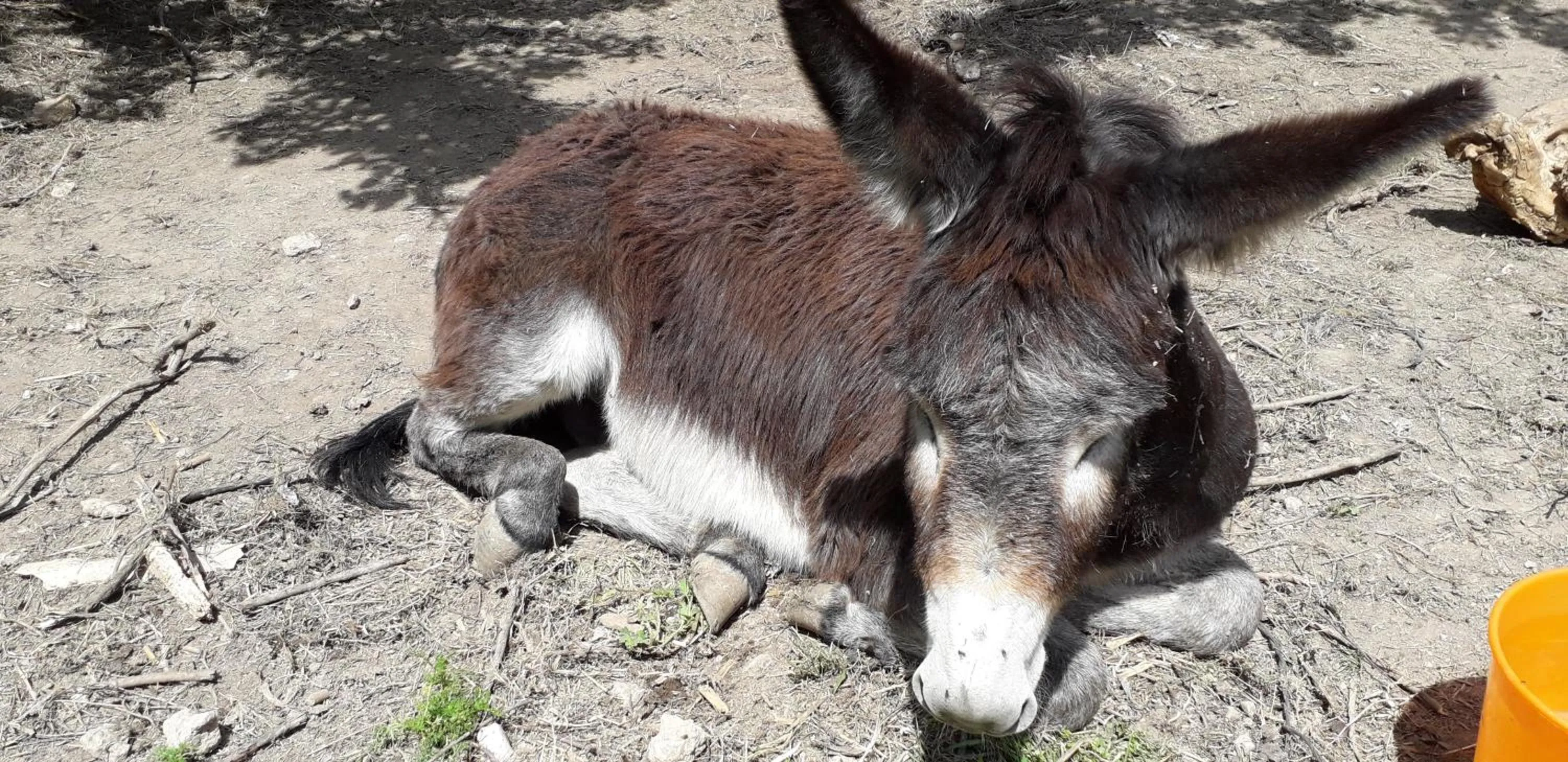 Casa Rural ENTRESIERRAS