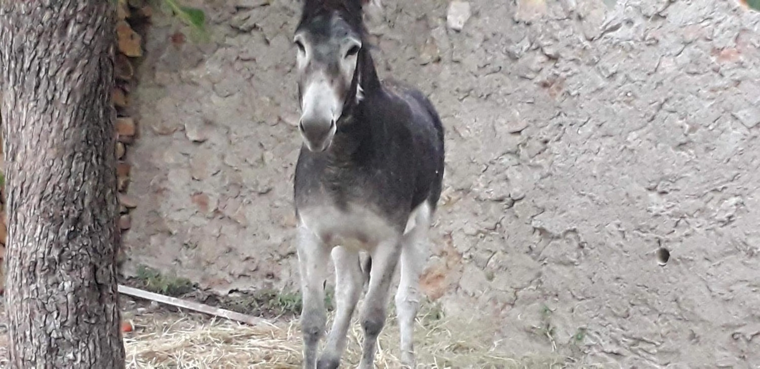 Casa Rural ENTRESIERRAS