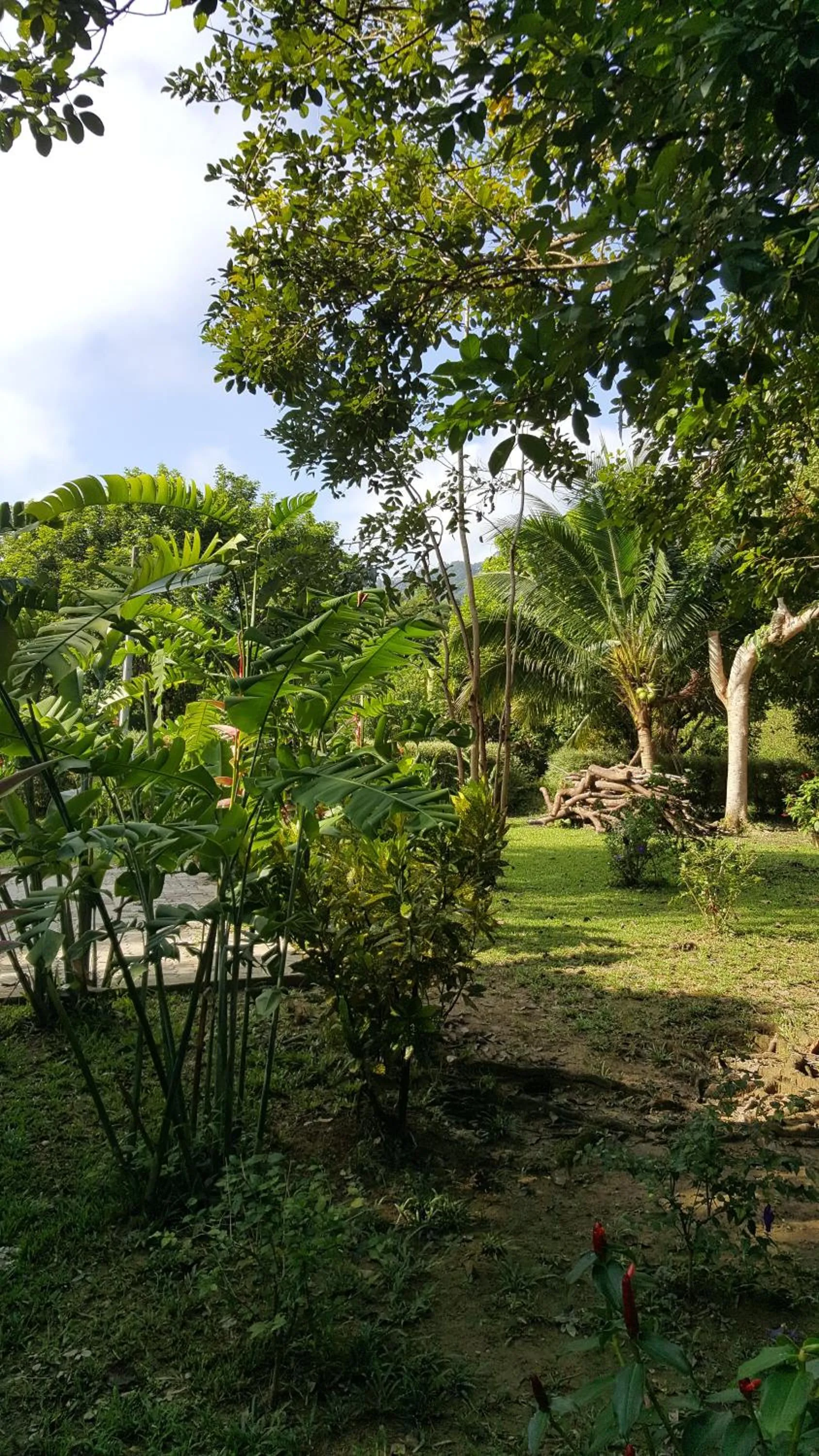 Garden in Khao Sok Royal Bamboo Lodges - SHA Certified
