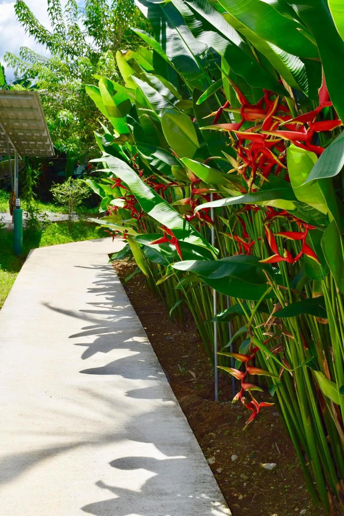 Neighbourhood in Khao Sok Royal Bamboo Lodges - SHA Certified