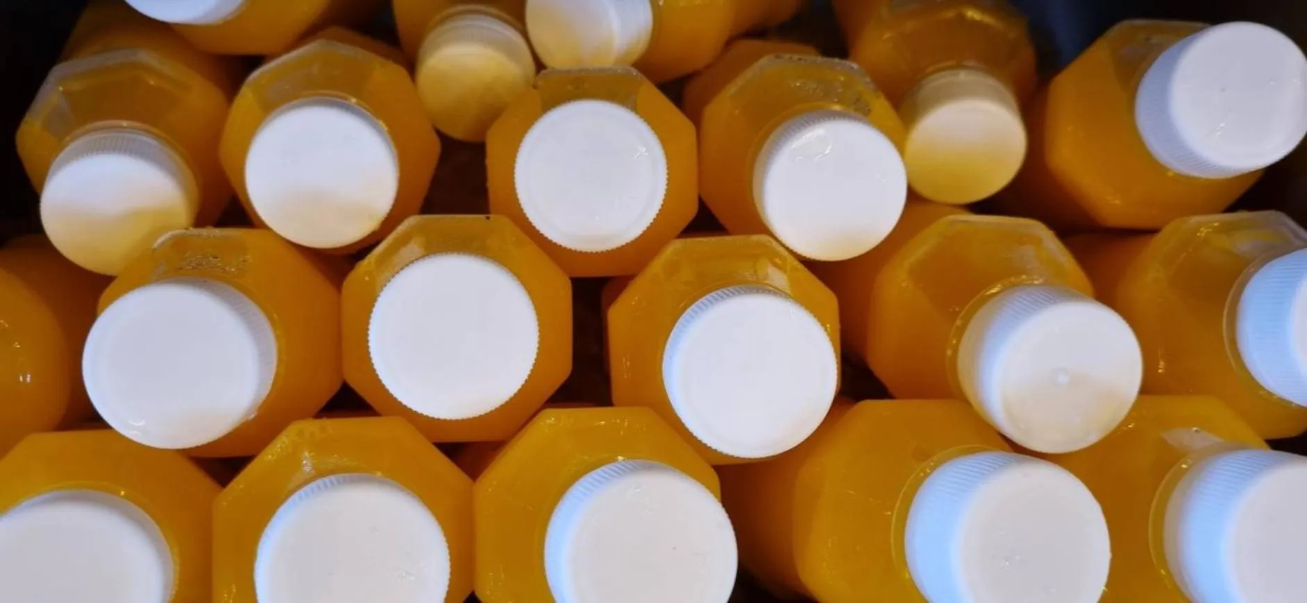 Khao Sok Royal Bamboo Lodges - SHA Certified