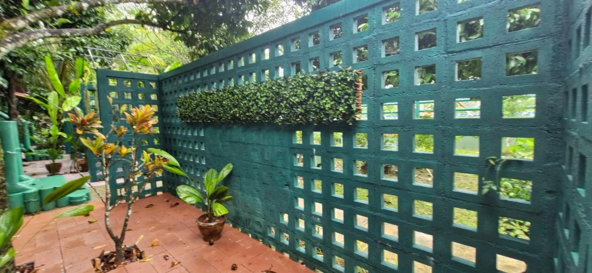 Khao Sok Royal Bamboo Lodges - SHA Certified