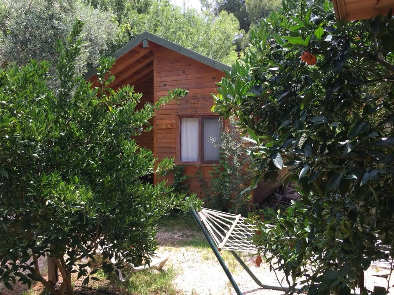 Garden in Bungalow Halil