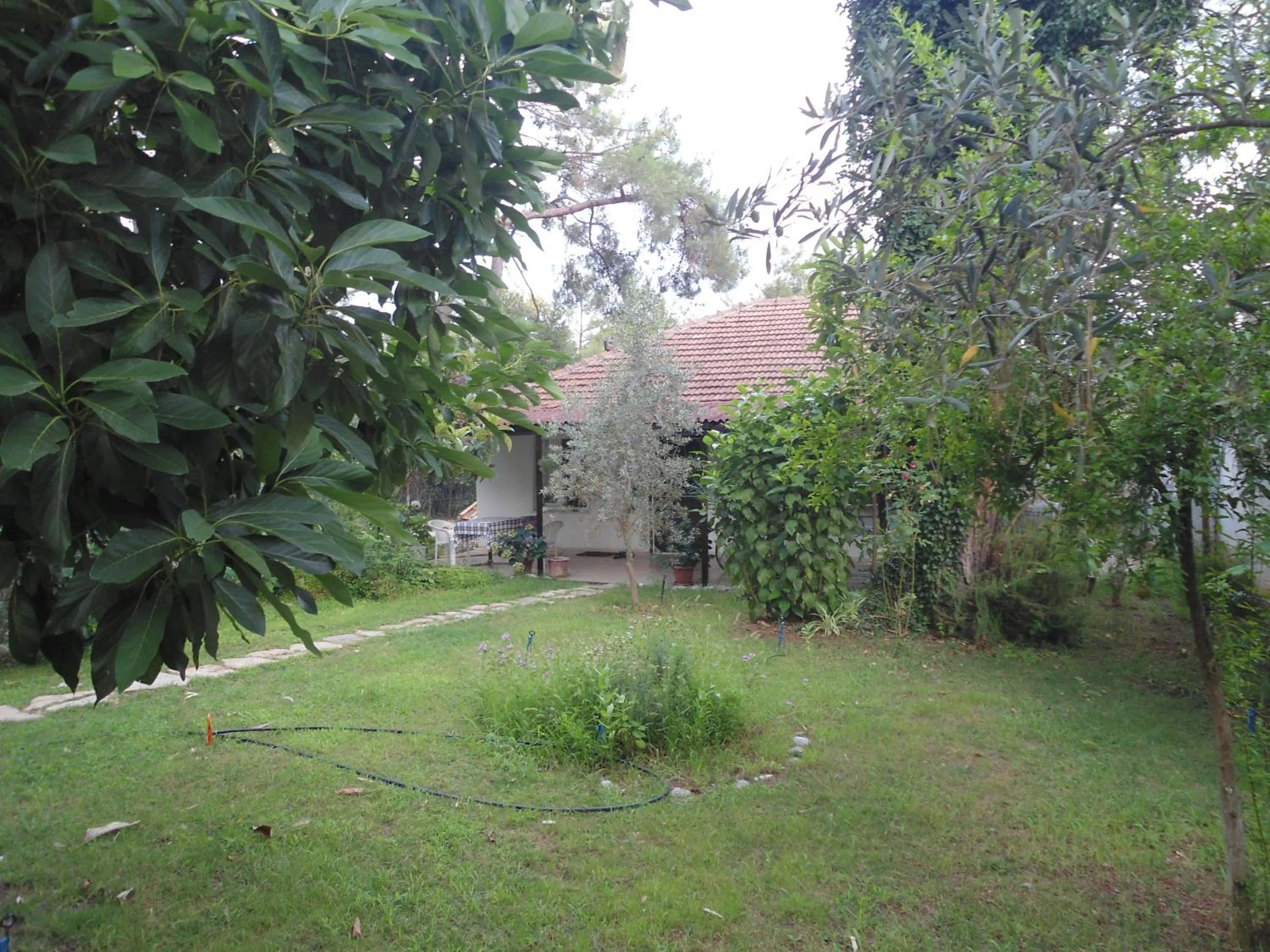 Garden in Bungalow Halil