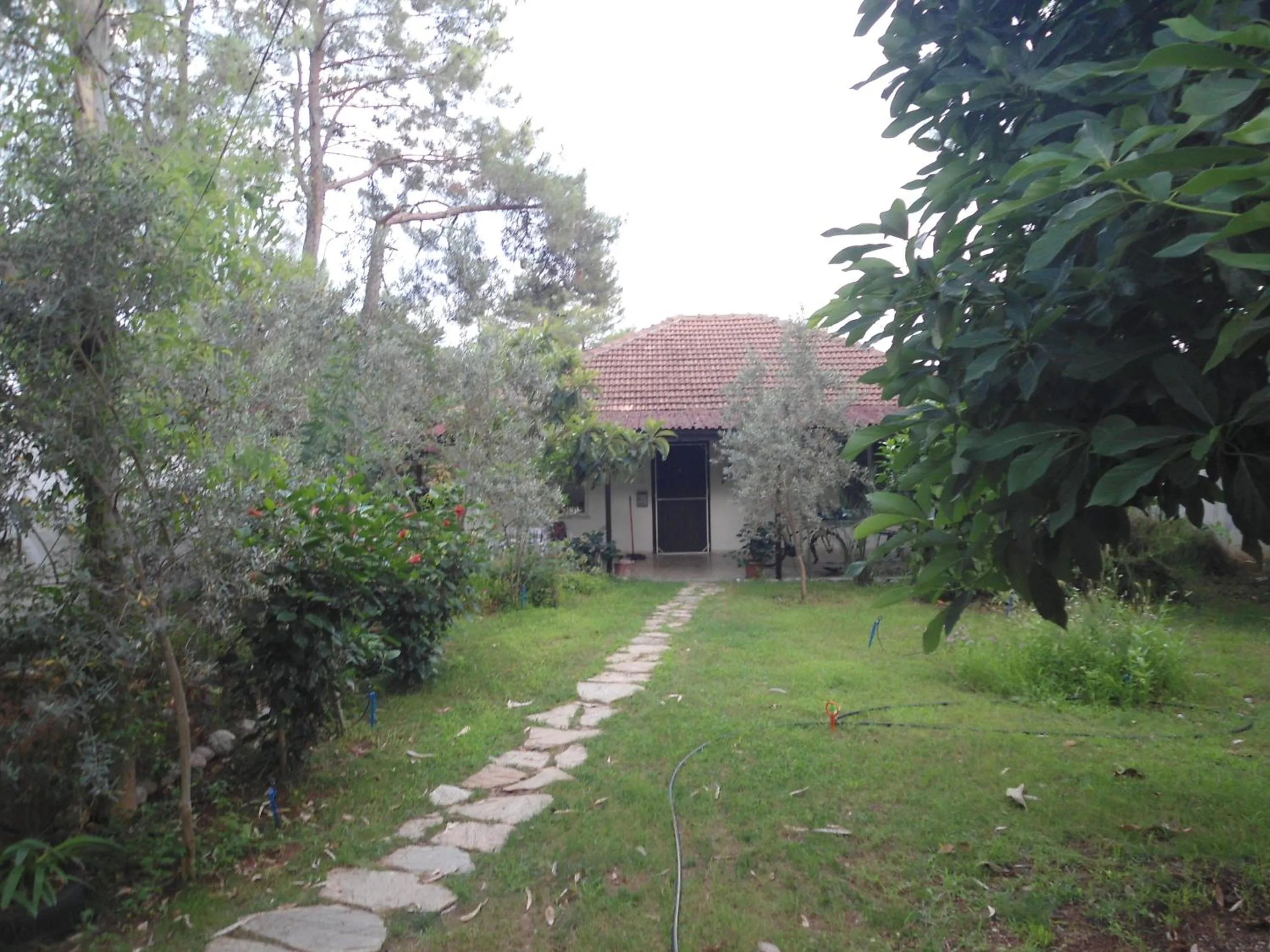 Garden in Bungalow Halil