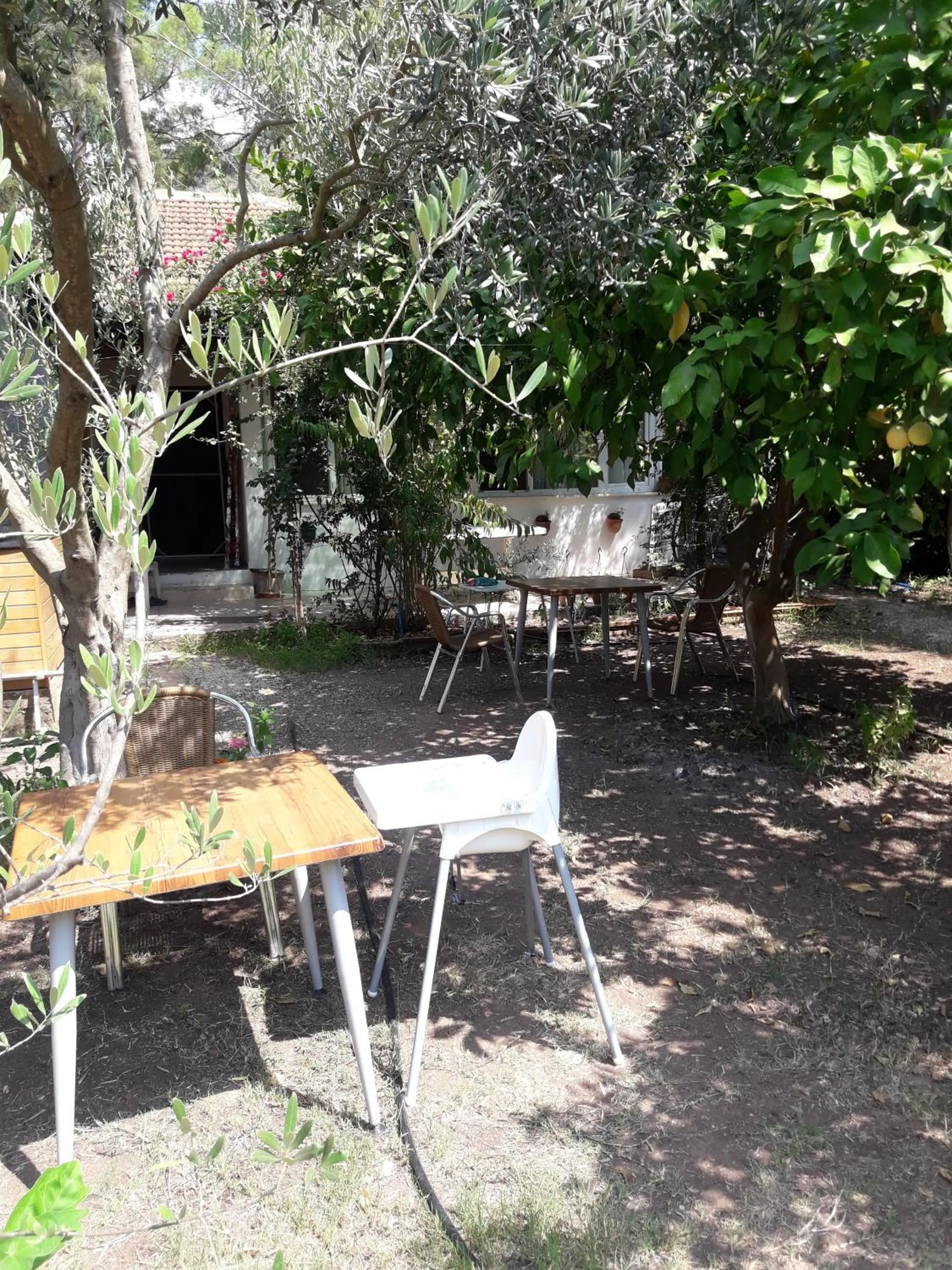 Garden in Bungalow Halil