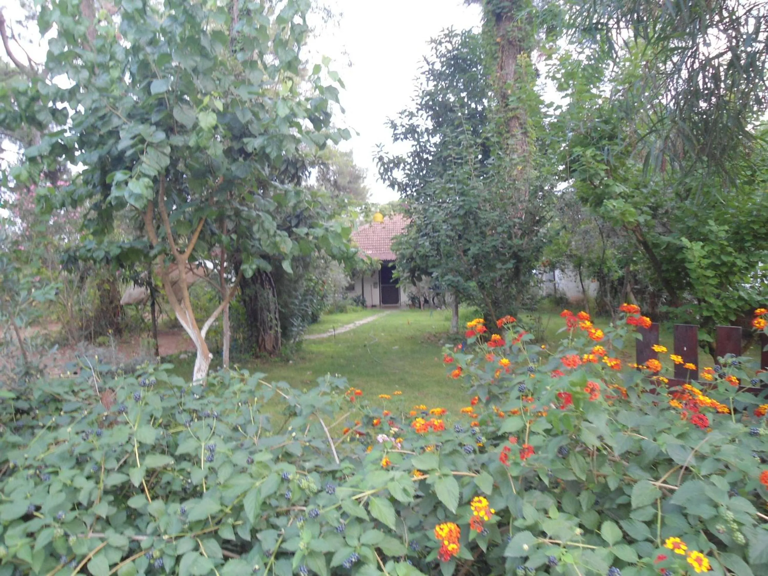 Garden in Bungalow Halil