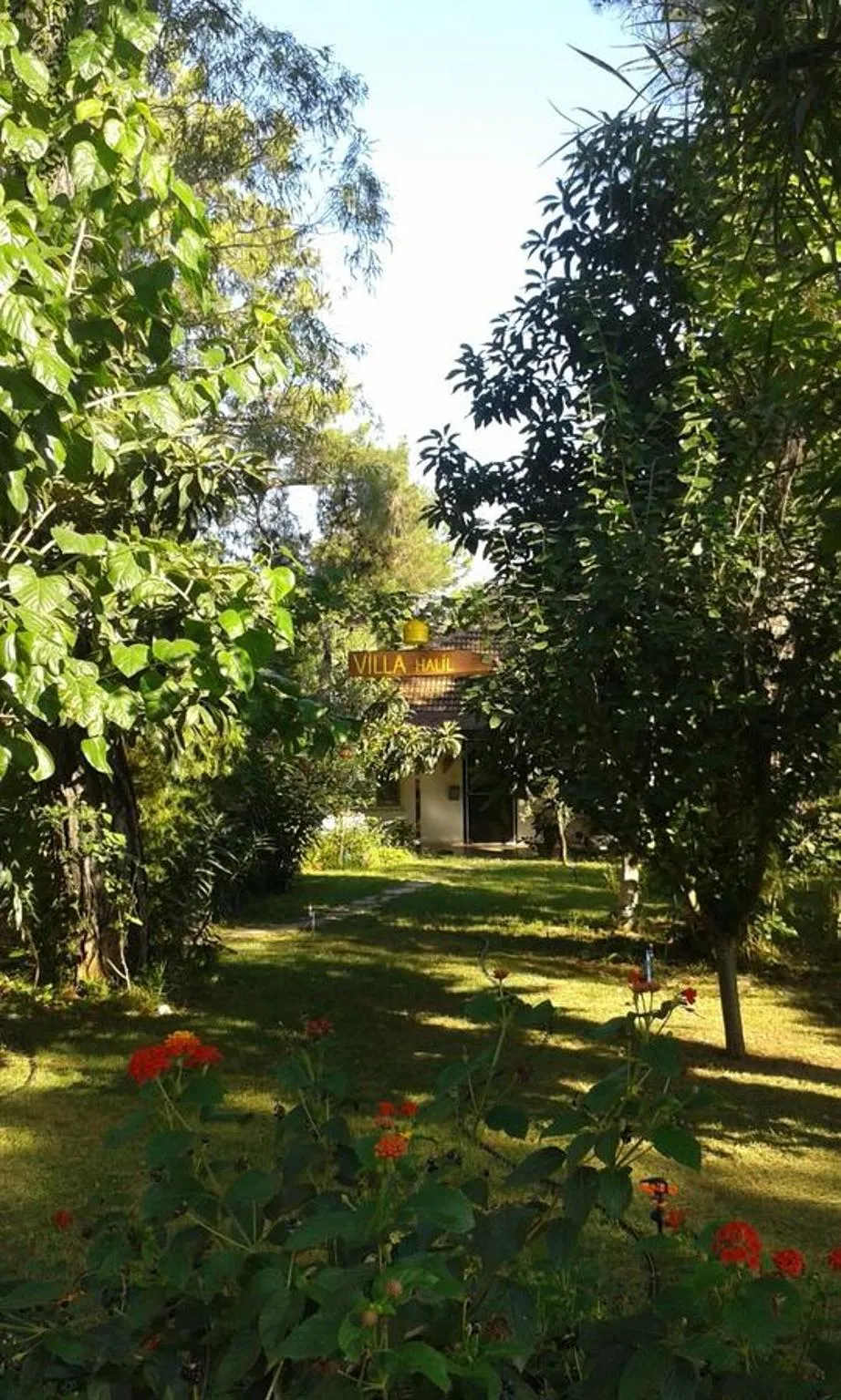 Garden in Bungalow Halil