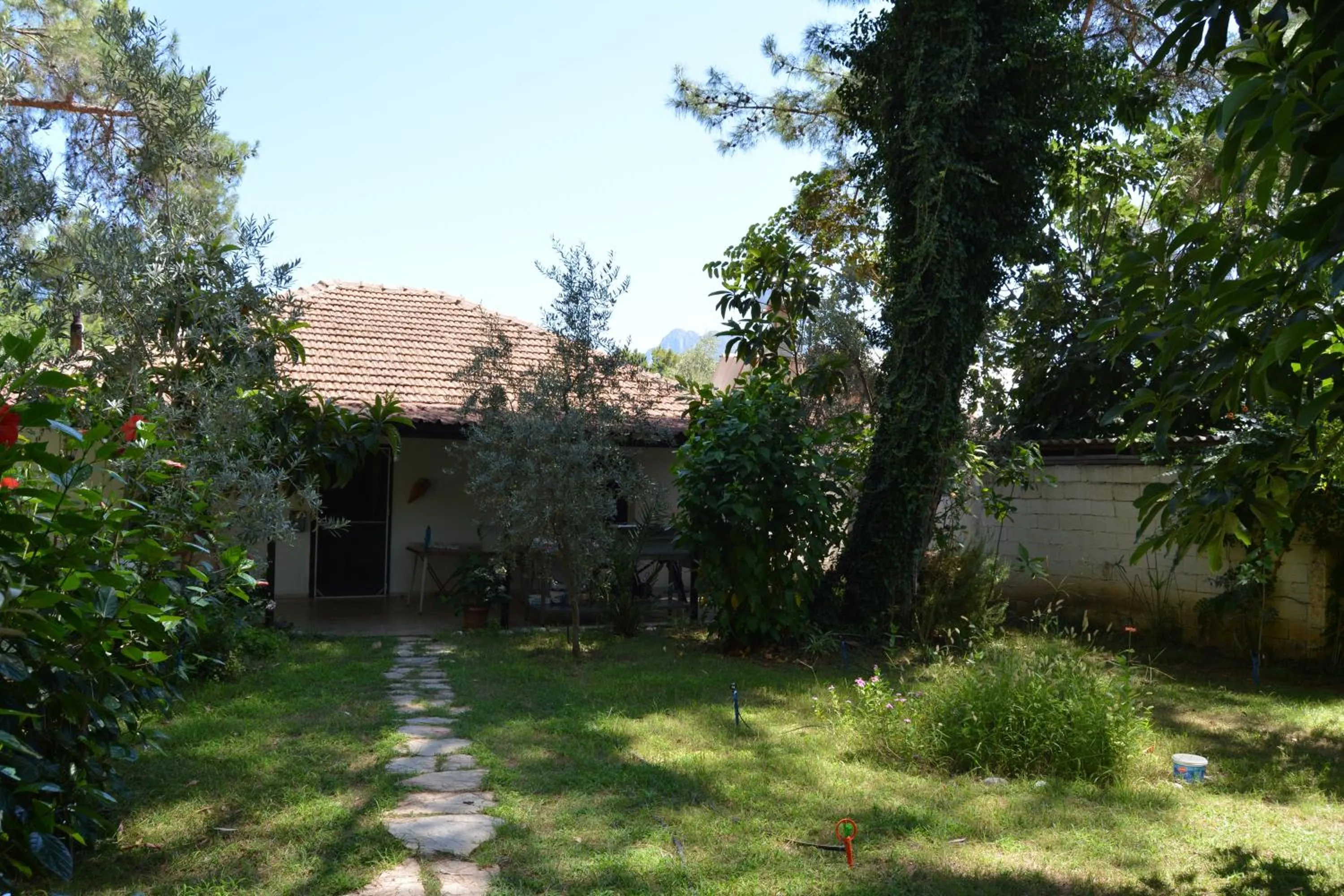 Garden in Bungalow Halil