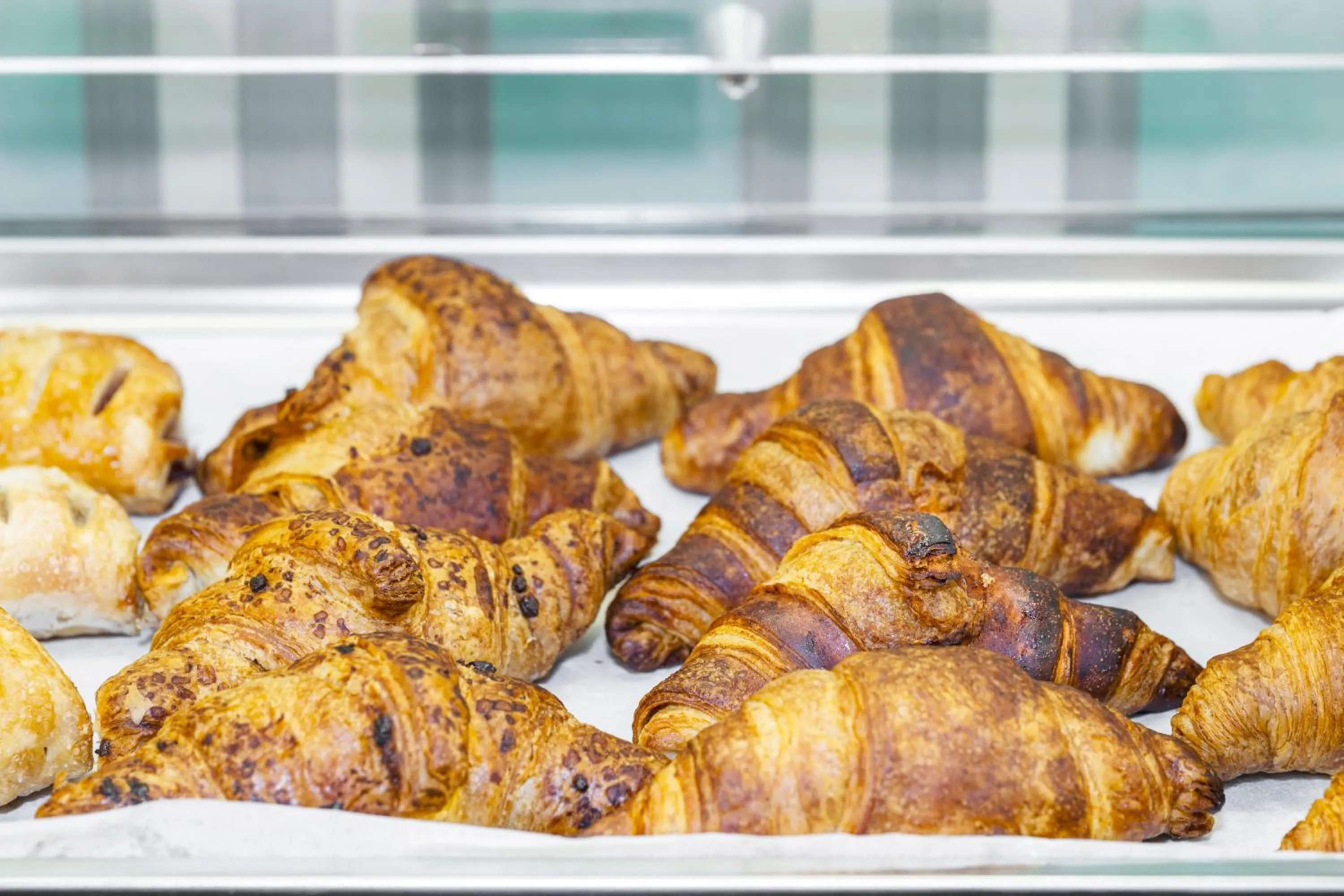 Food and drinks in Hotel Villa Viridia