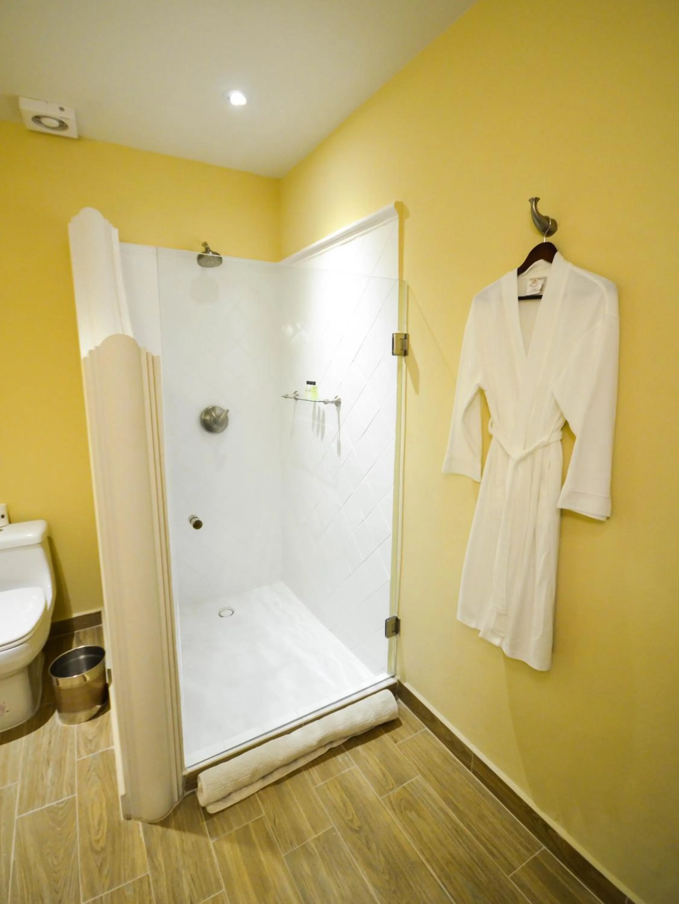 Toilet in Hotel Boutique Casa del Jardín Aguascalientes