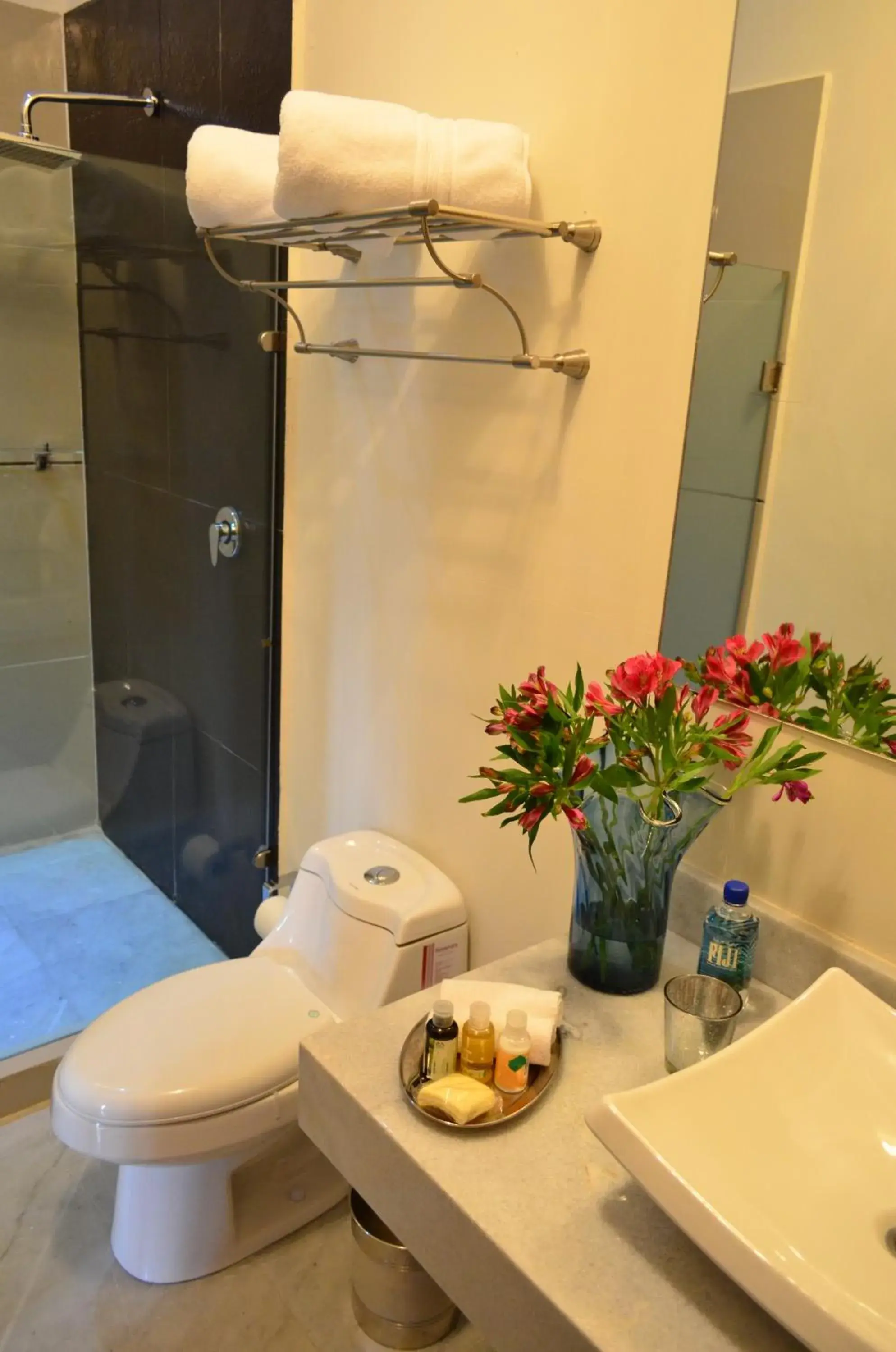 Hotel Boutique Casa del Jardín Aguascalientes Hotel Boutique Casa del Jardín Aguascalientes