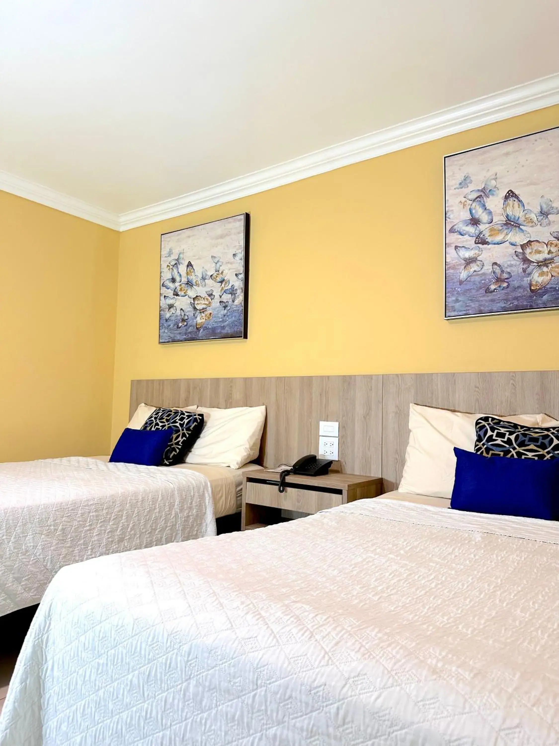Deluxe Double with Two Double Beds - single occupancy in Hotel Andros Deluxe Double with Two Double Beds - single occupancy in Hotel Andros