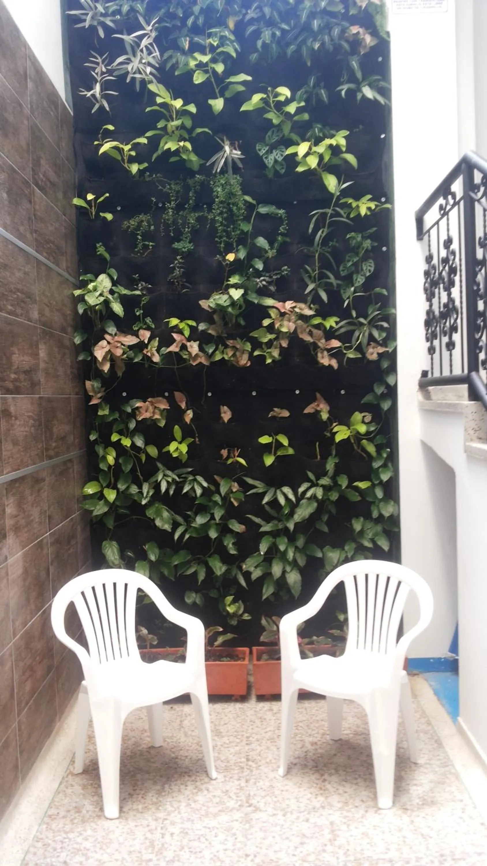 Facade/entrance in Hotel Bucare