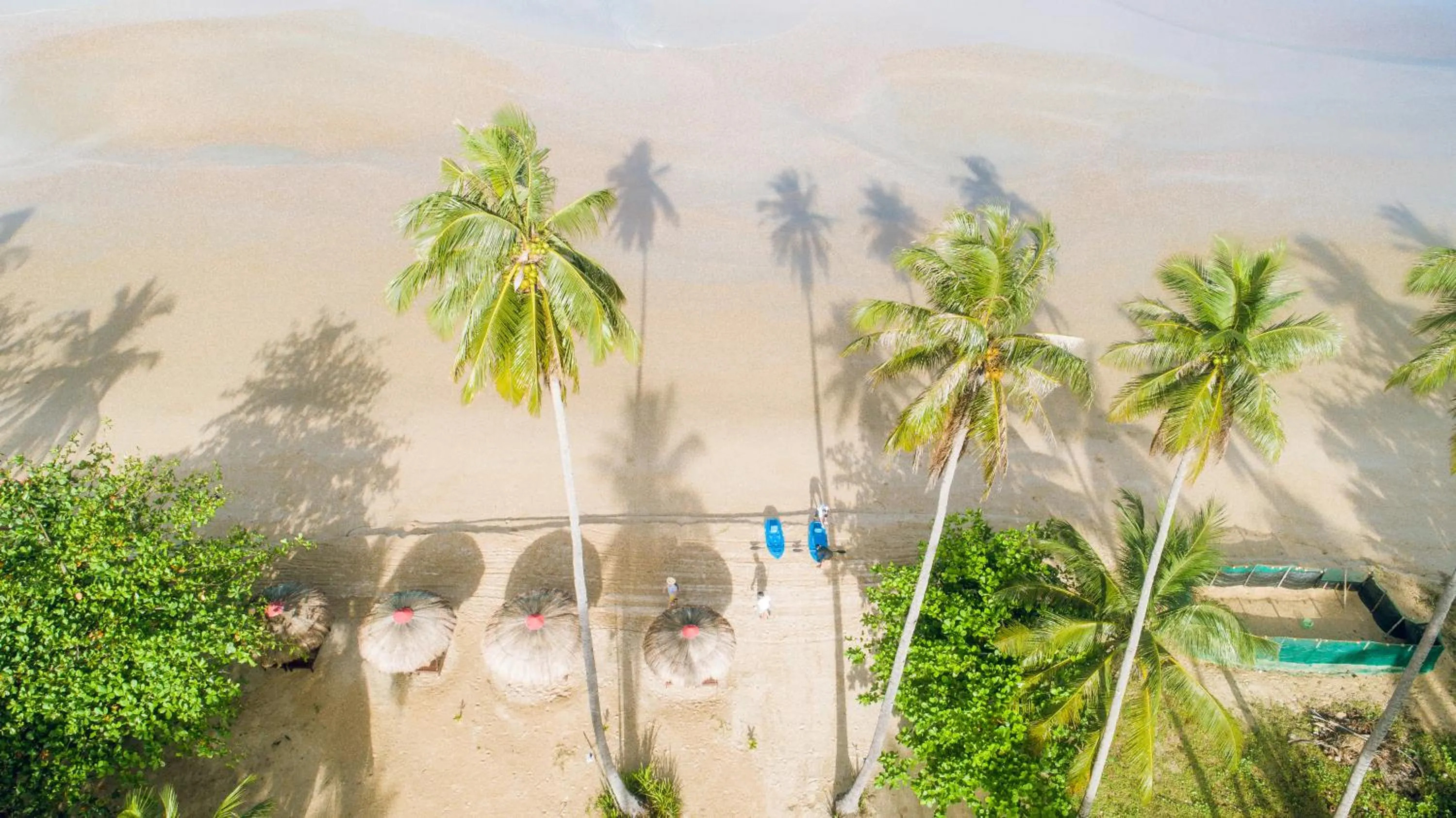 Beach in Club Agutaya