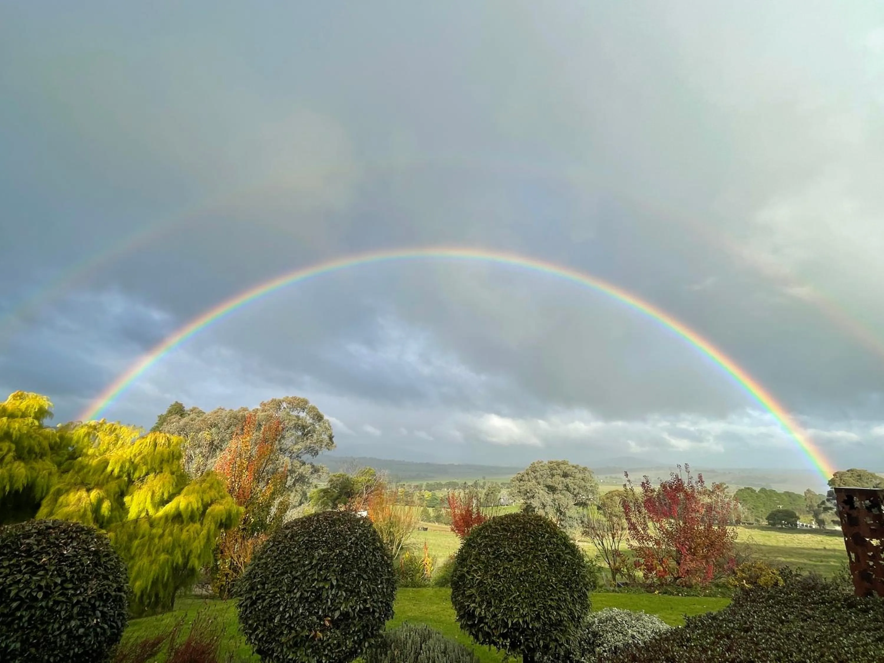 Garden in The Studio - Yarra Valley