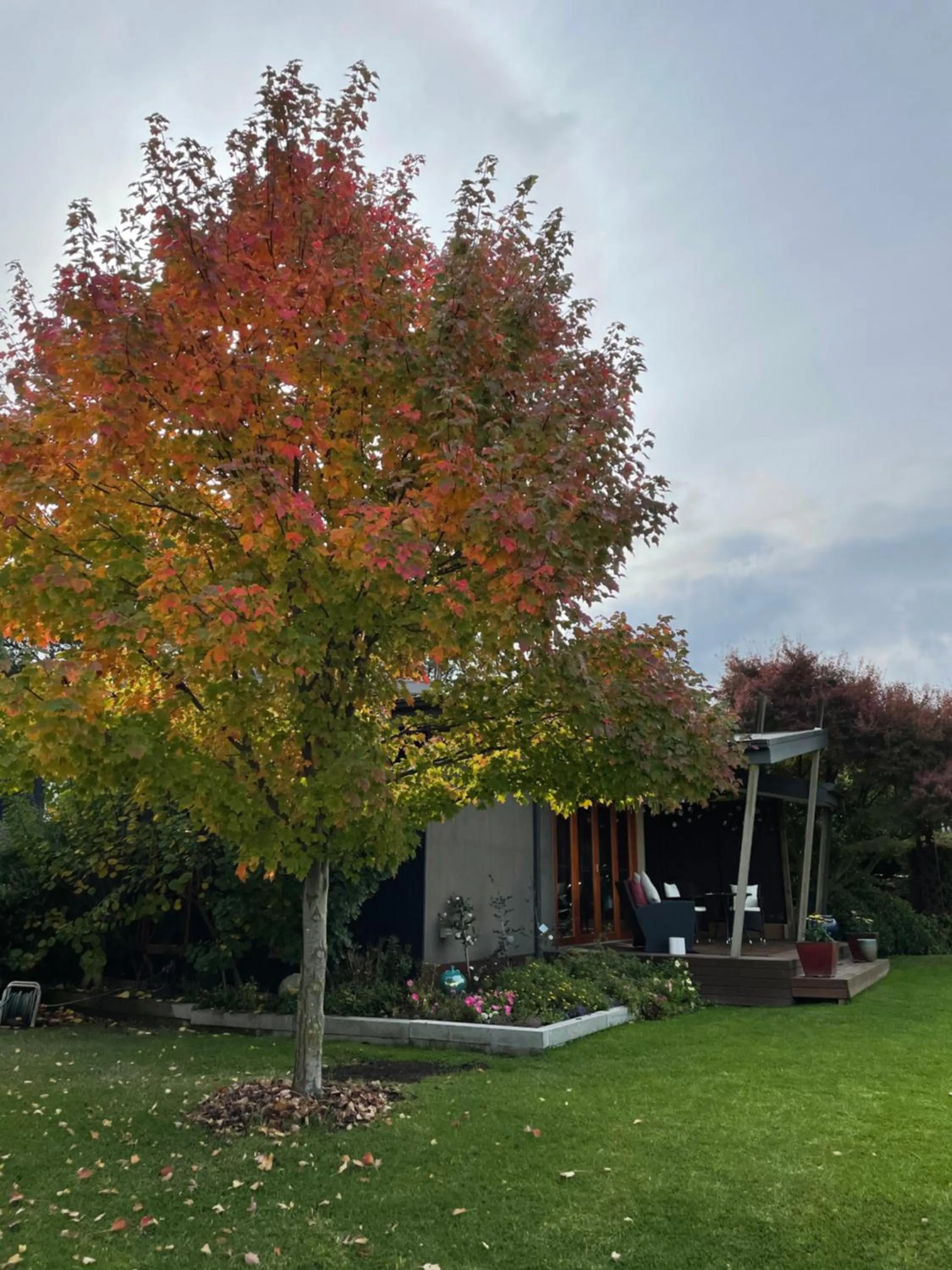 Property building in The Studio - Yarra Valley