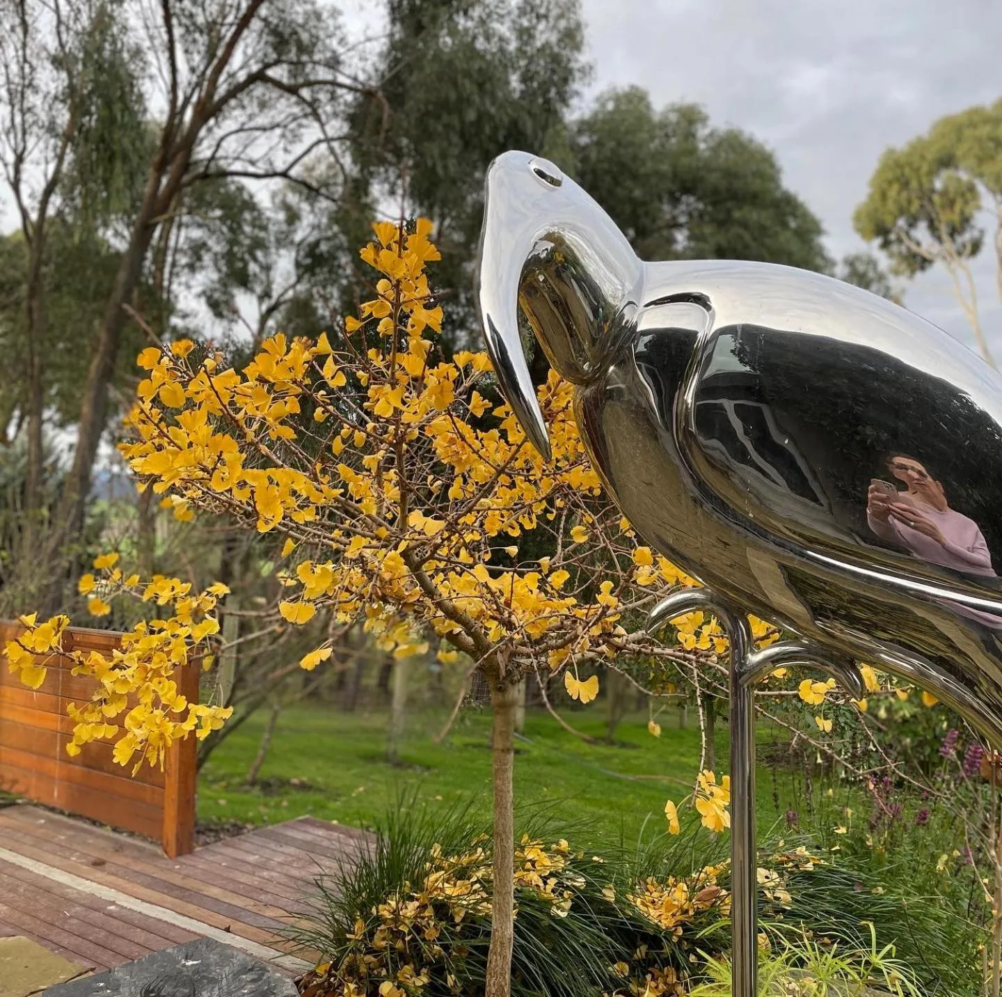Garden in The Studio - Yarra Valley