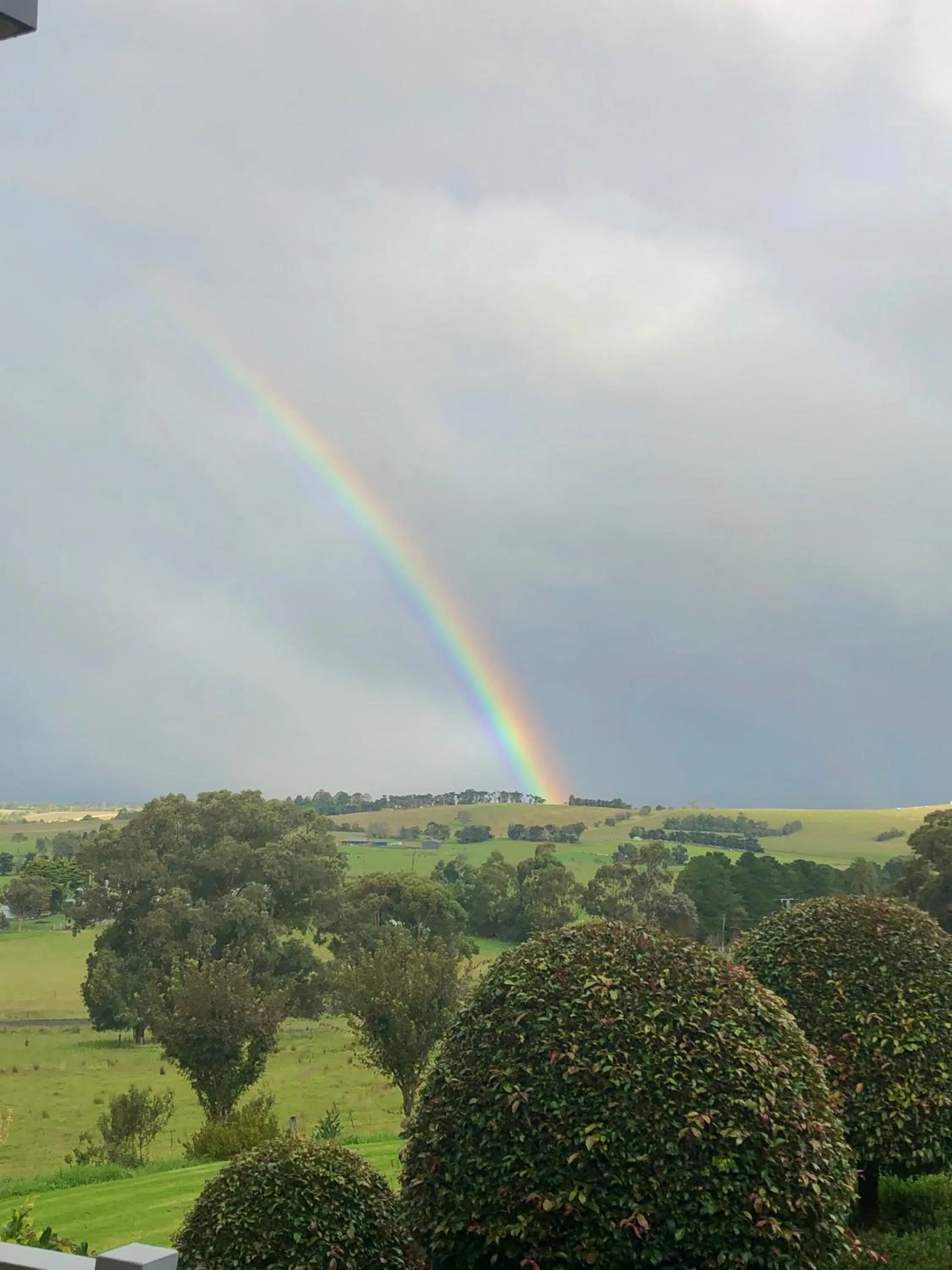 Natural landscape in The Studio - Yarra Valley