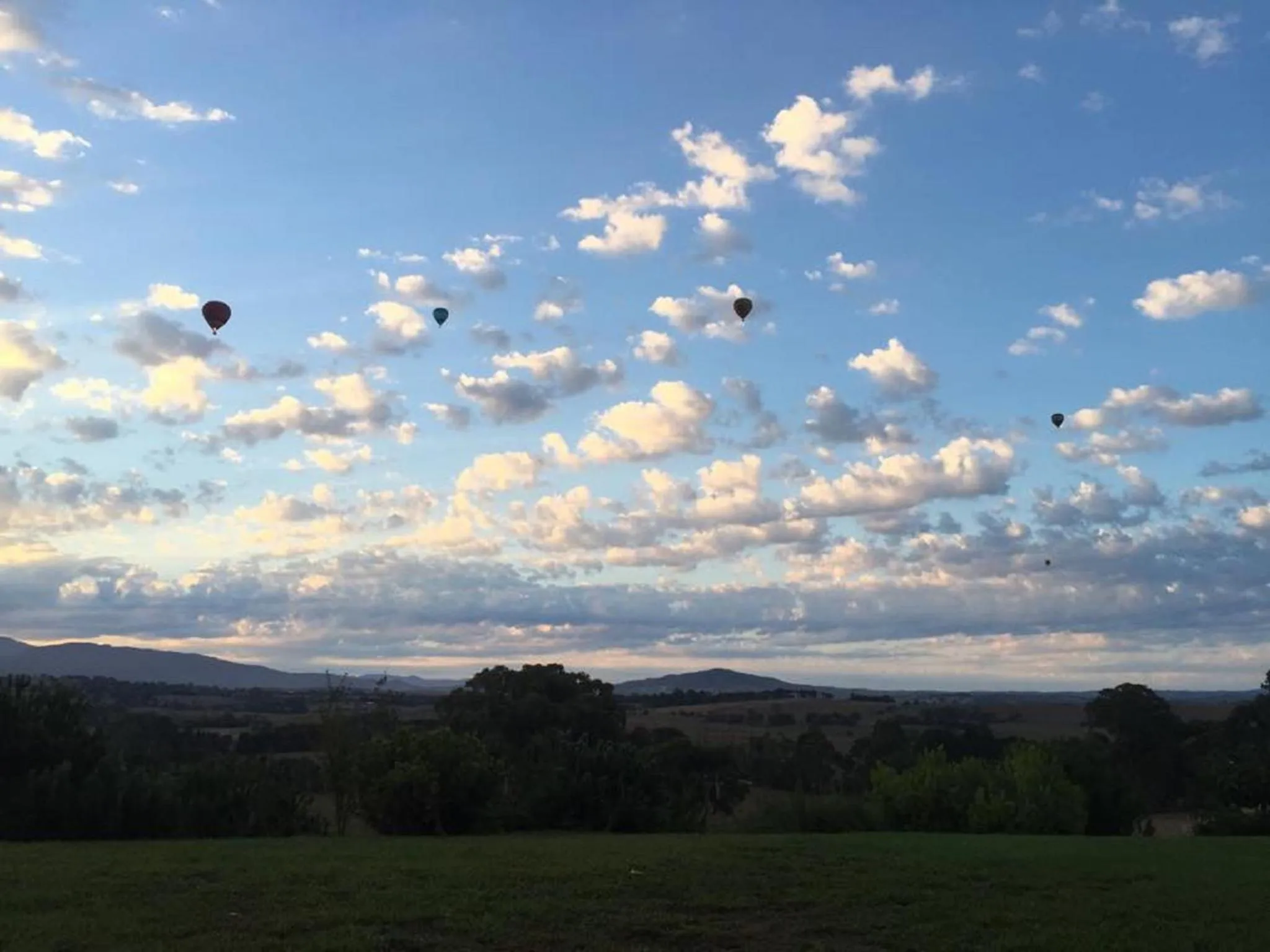 Garden view in The Studio - Yarra Valley
