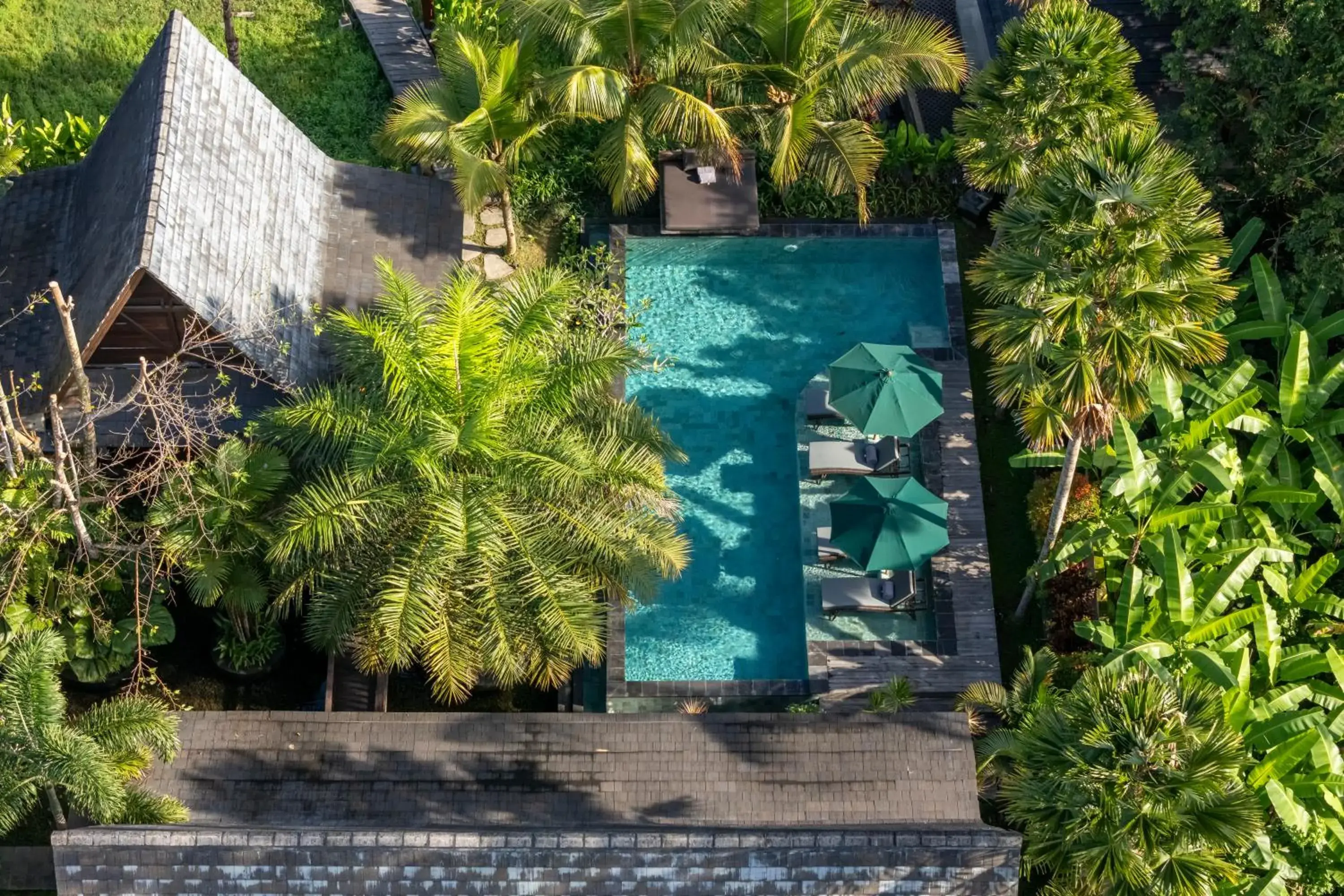 Swimming pool in Emana Abian Taksu Swimming pool in Emana Abian Taksu