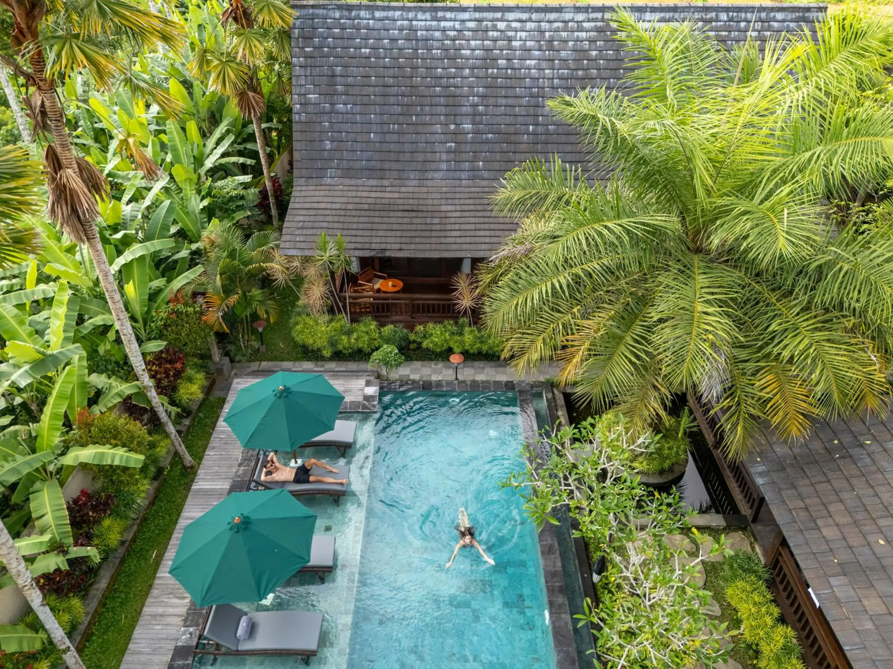 Swimming pool in Emana Abian Taksu Swimming pool in Emana Abian Taksu