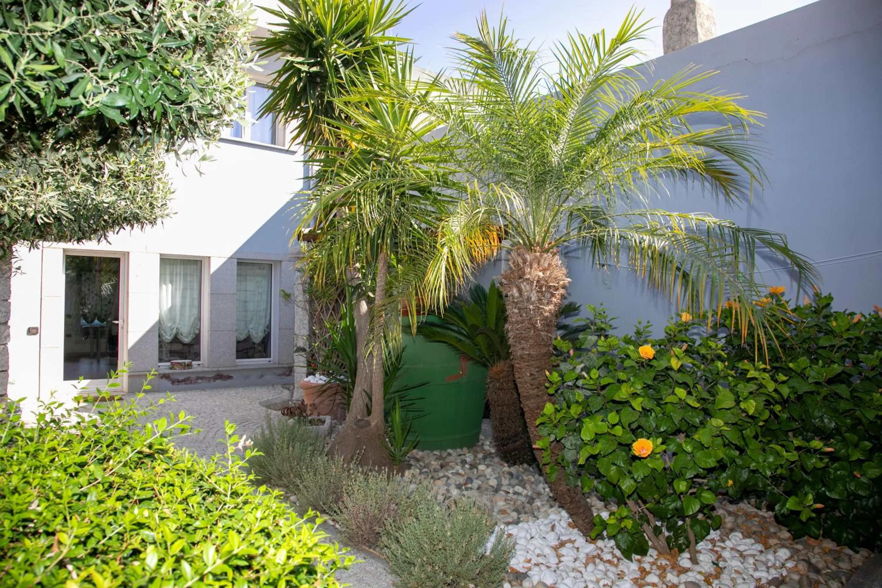Hibiscus B&B