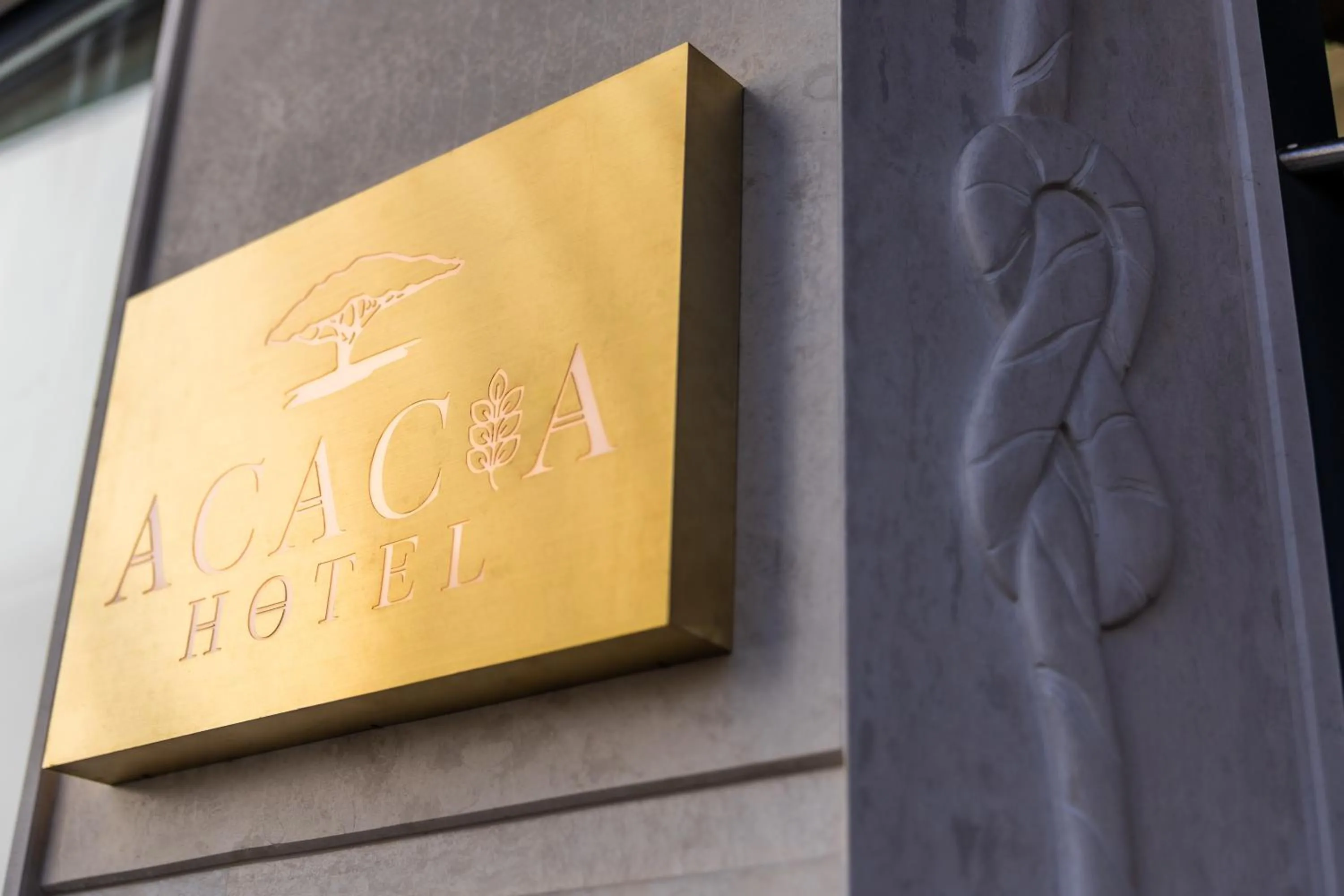 Logo/Certificate/Sign in Acacia Hotel