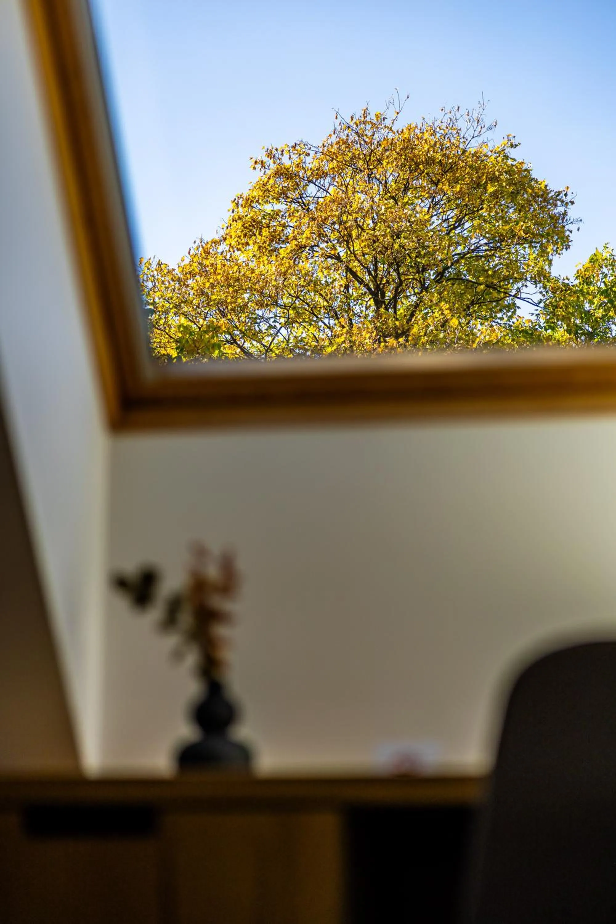 View (from property/room) in Acacia Hotel