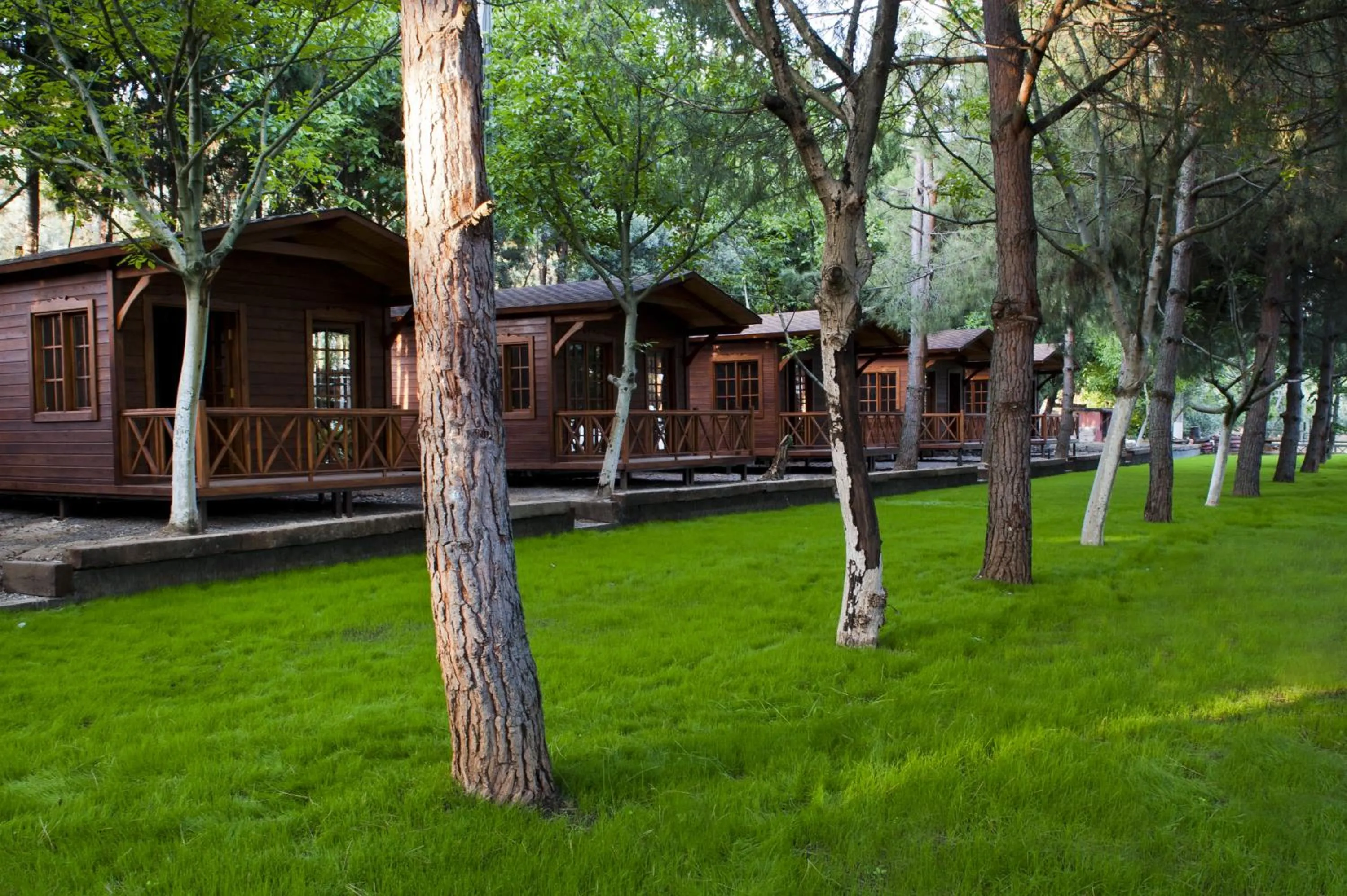 Garden in Iznik Askania