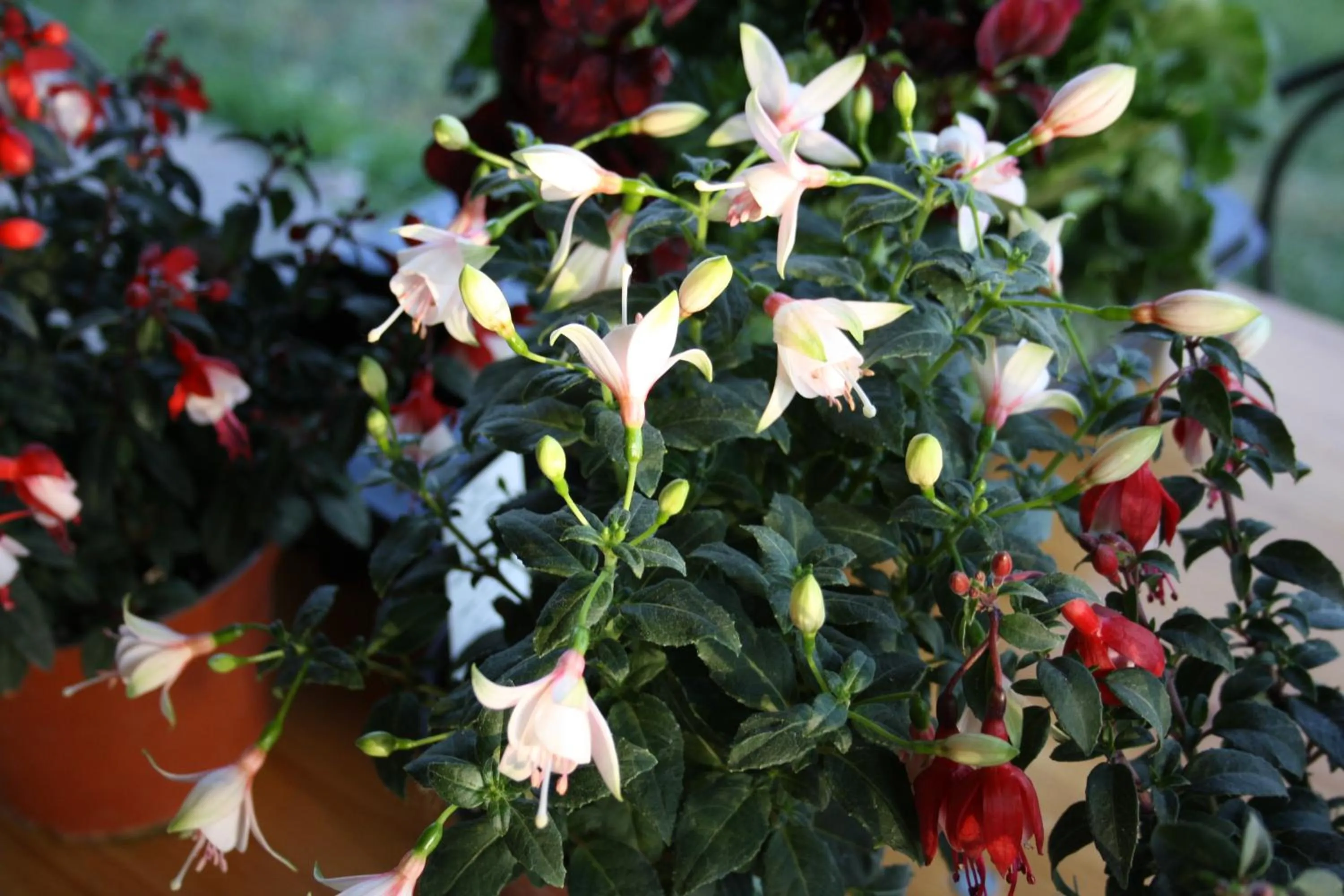 Spring in Bed And Bikers