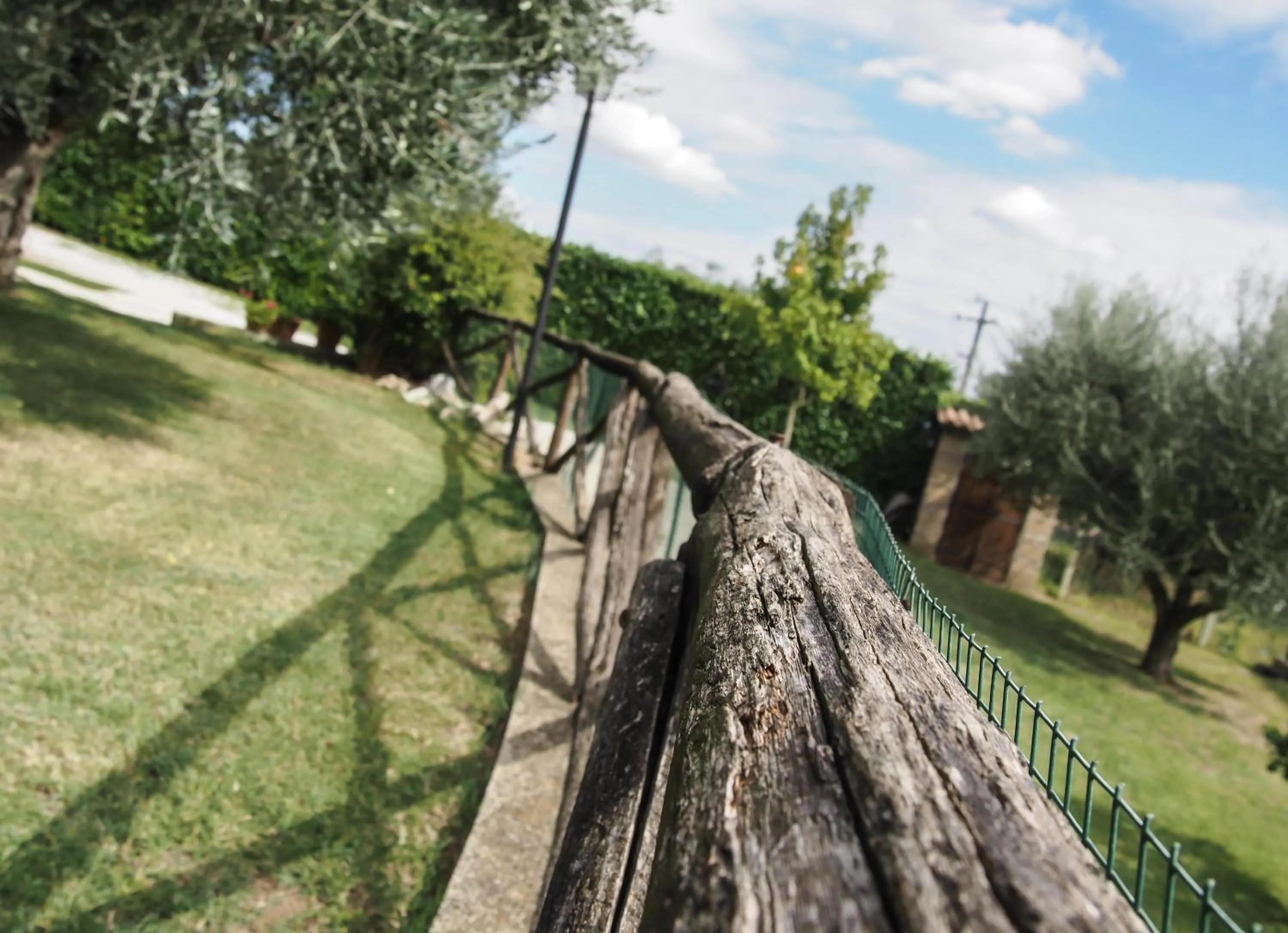 Garden in Bed And Bikers