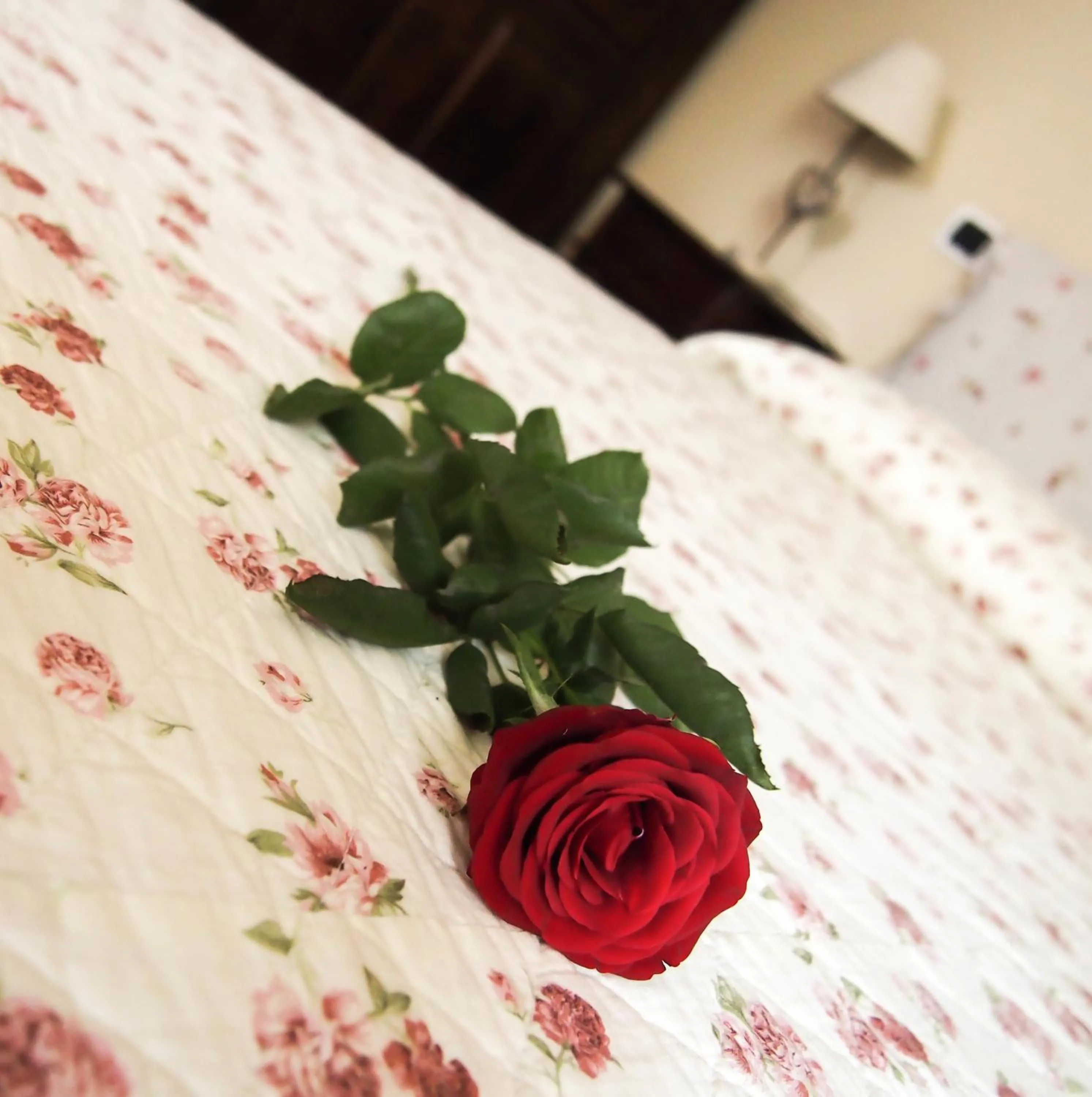 Decorative detail, Bed in Bed And Bikers