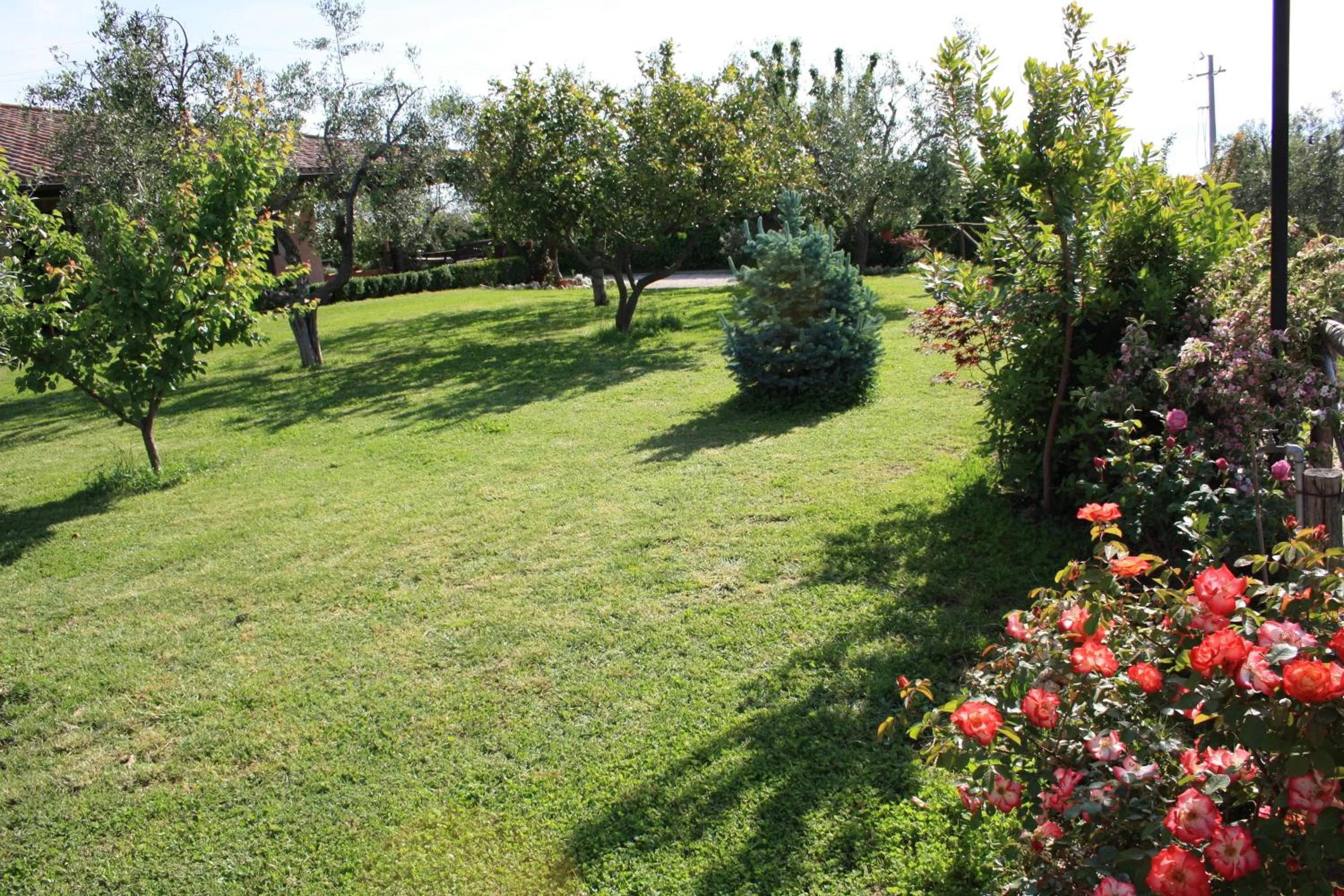 Garden in Bed And Bikers