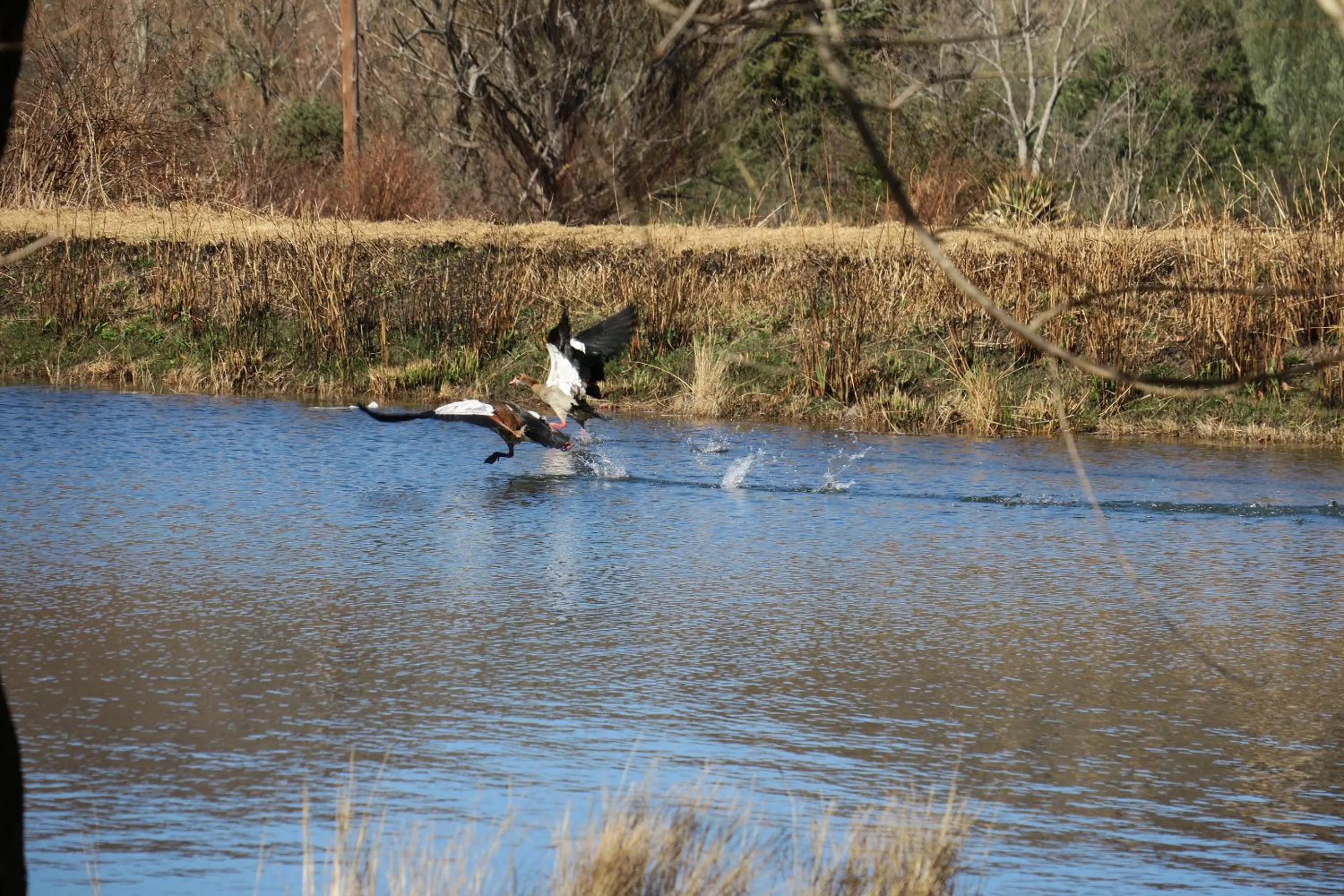 Other in Mkomazana Mountain Cottages