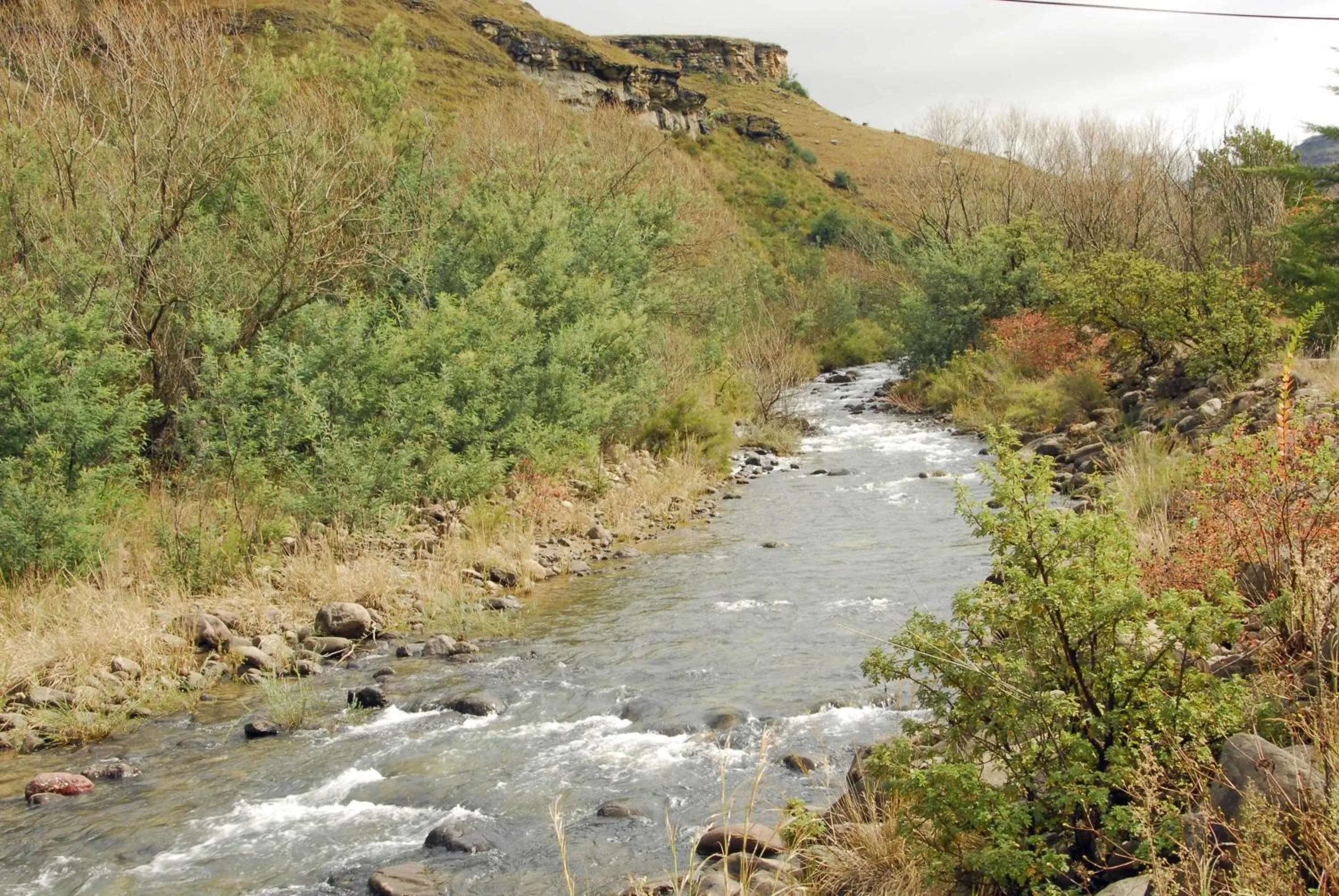 River view in Mkomazana Mountain Cottages