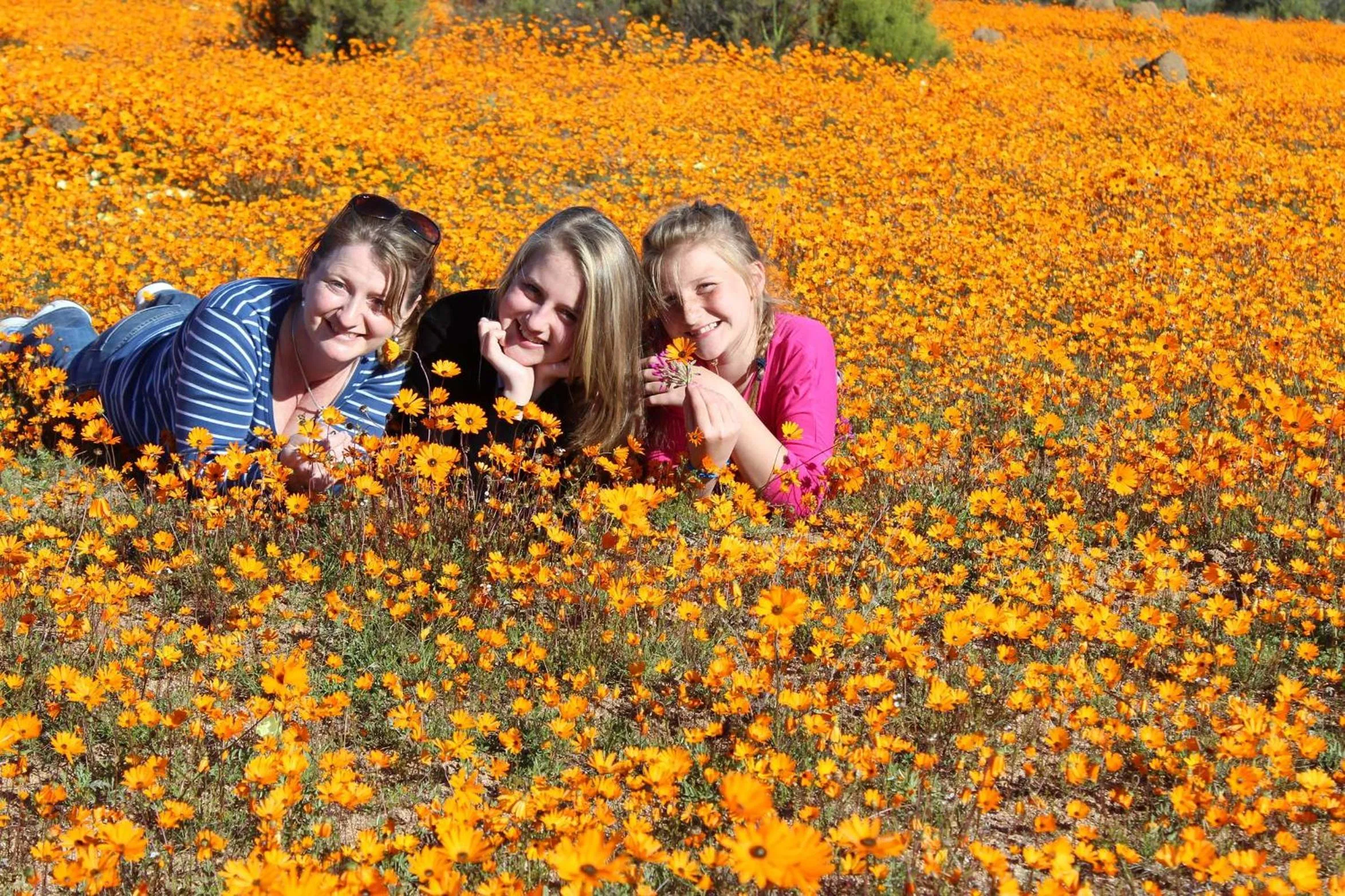 People in Calvinia Hotel