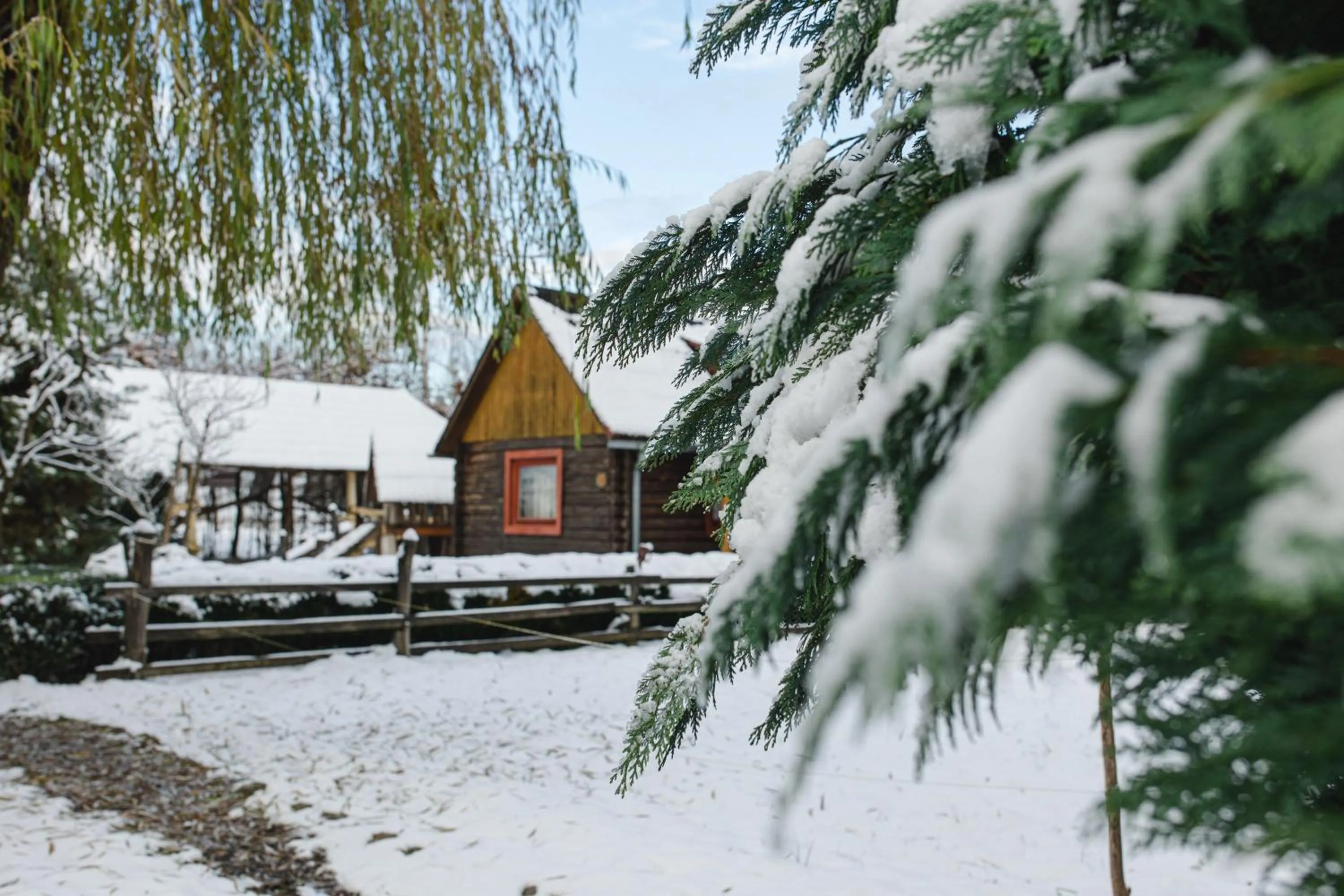 Property building in Kolyba Opryshkiv