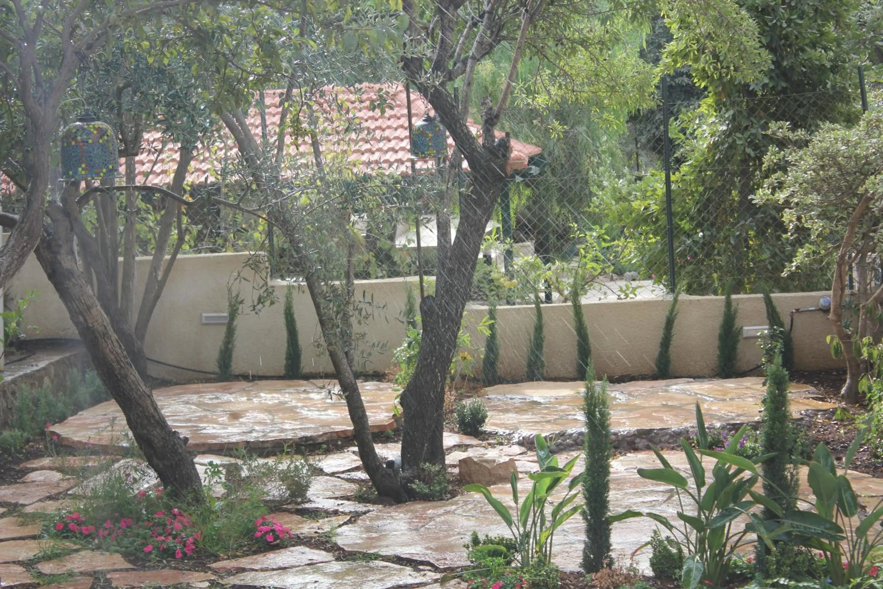 Winter in Lavender Boutique Hotel