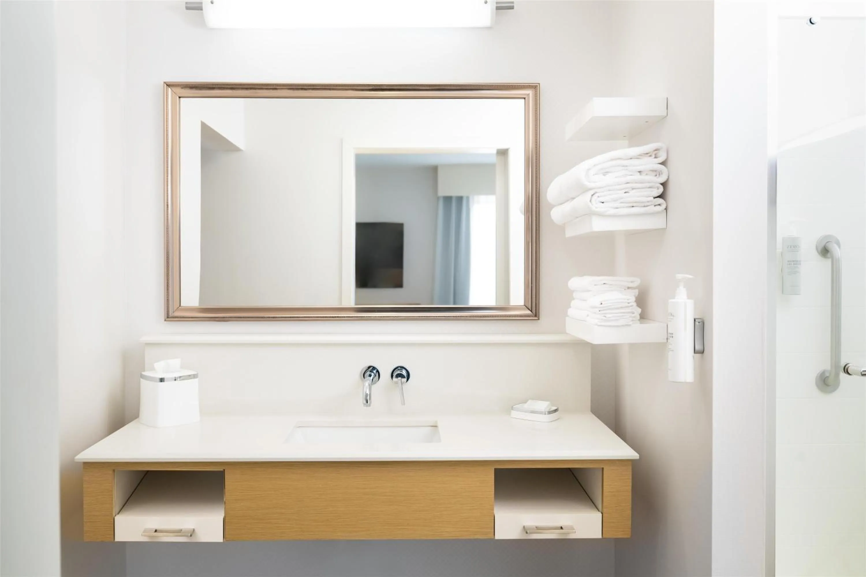 Bathroom in Hampton Inn and Suites La Crosse Downtown