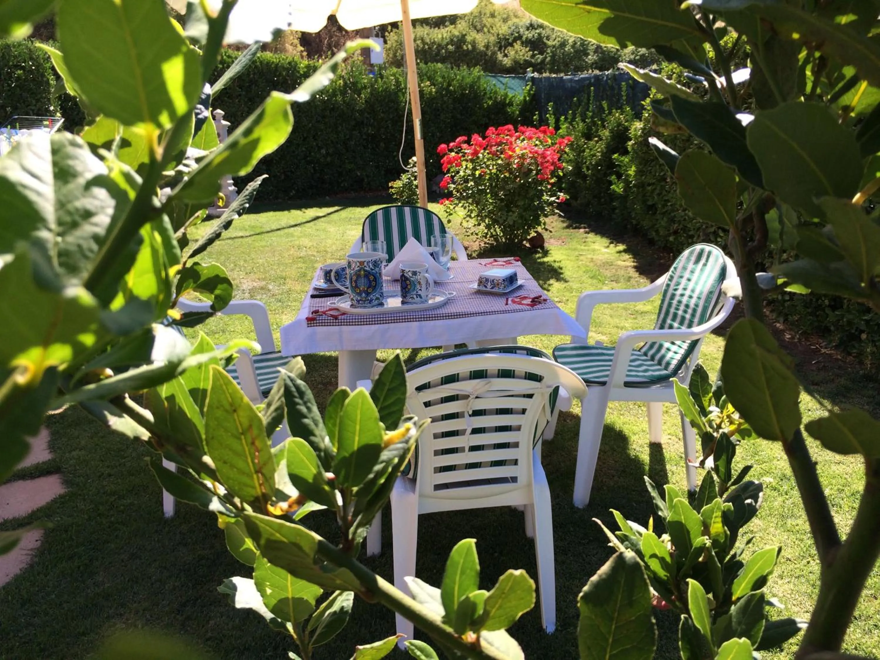 Garden in Sa Mariposa
