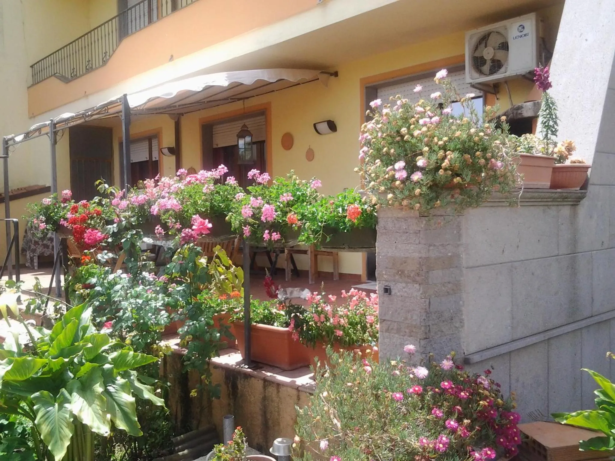 Garden in Sa Mariposa