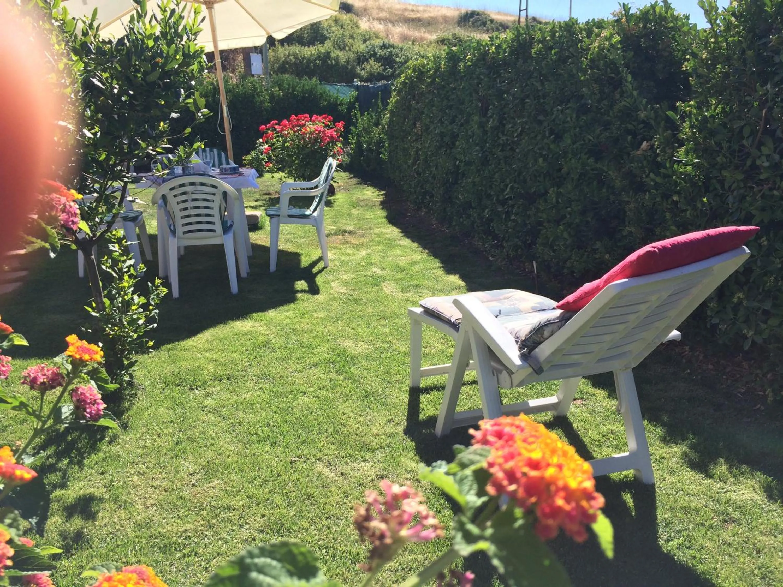 Garden in Sa Mariposa
