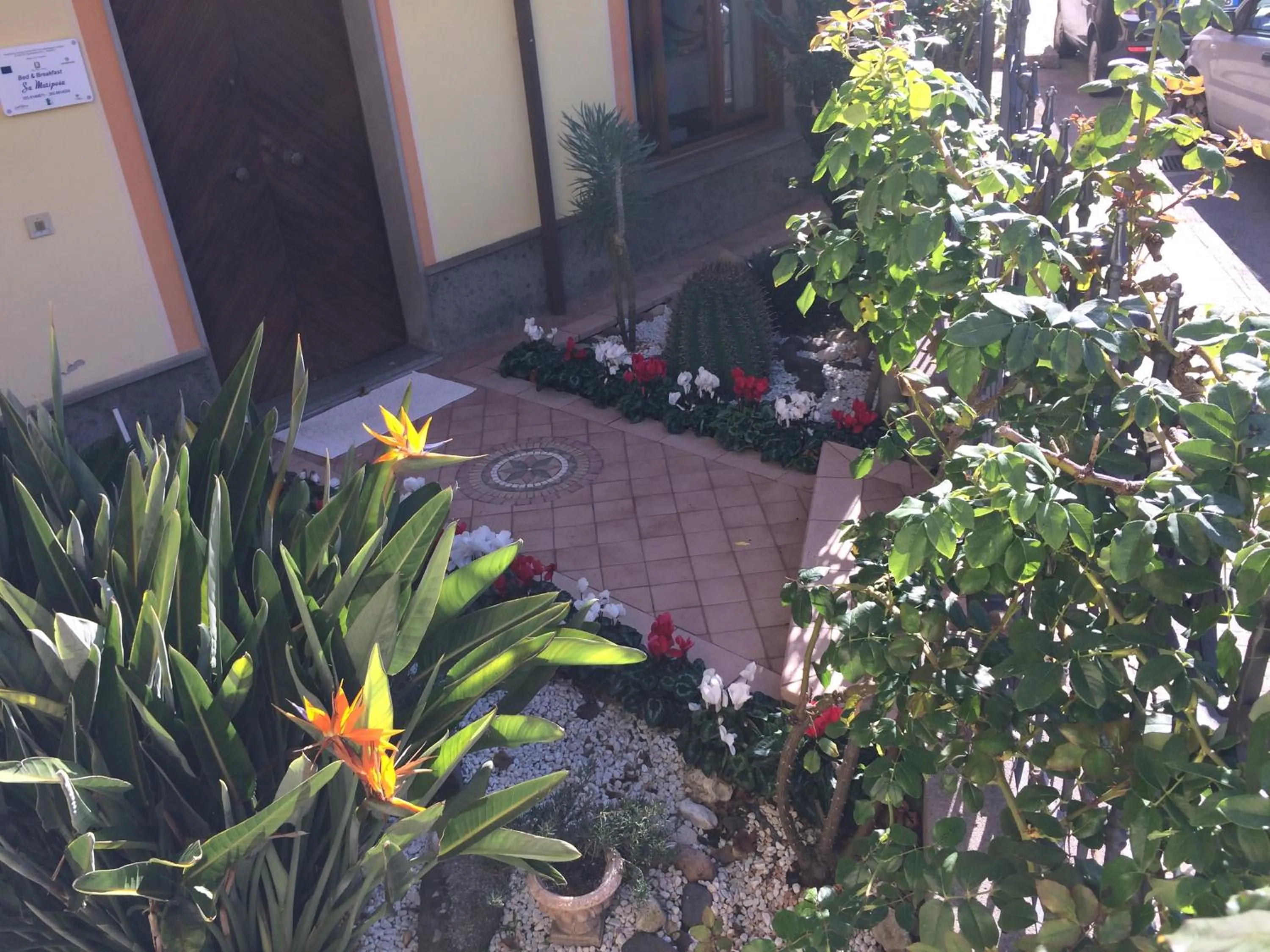 Property building in Sa Mariposa