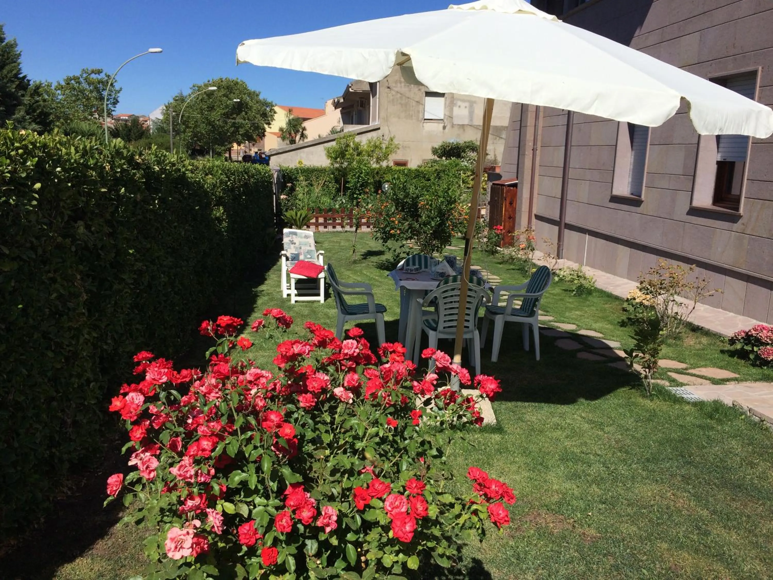 Garden in Sa Mariposa