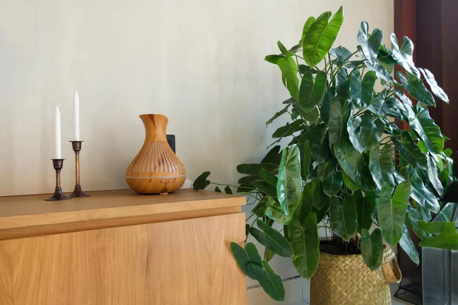 Area and facilities in Madeira Casa Canggu, Bali