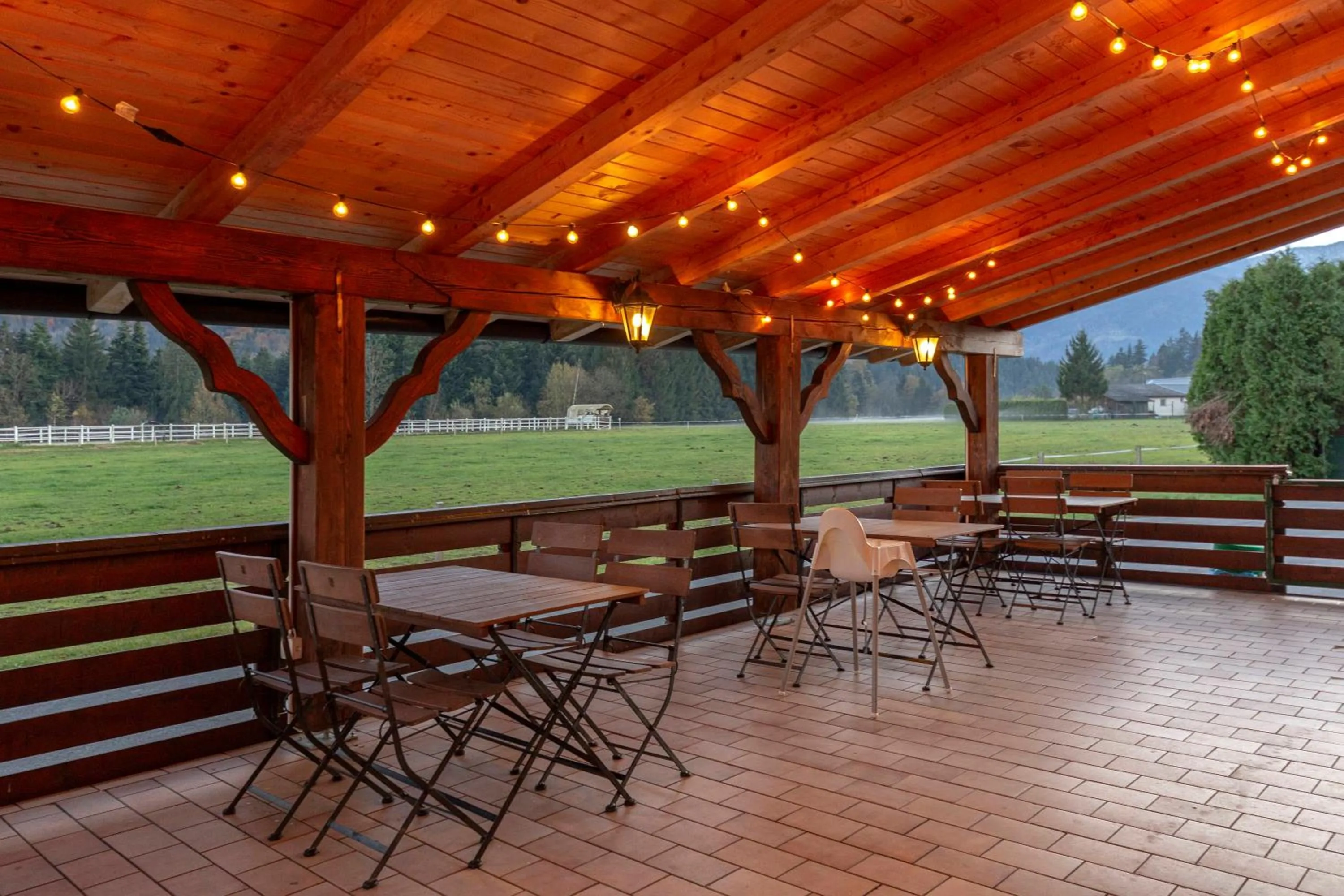Patio in Hotel Burger Veniše